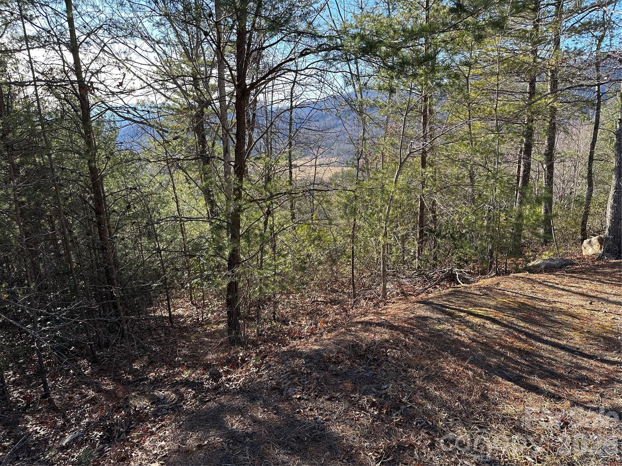 Fox Ridge - Land