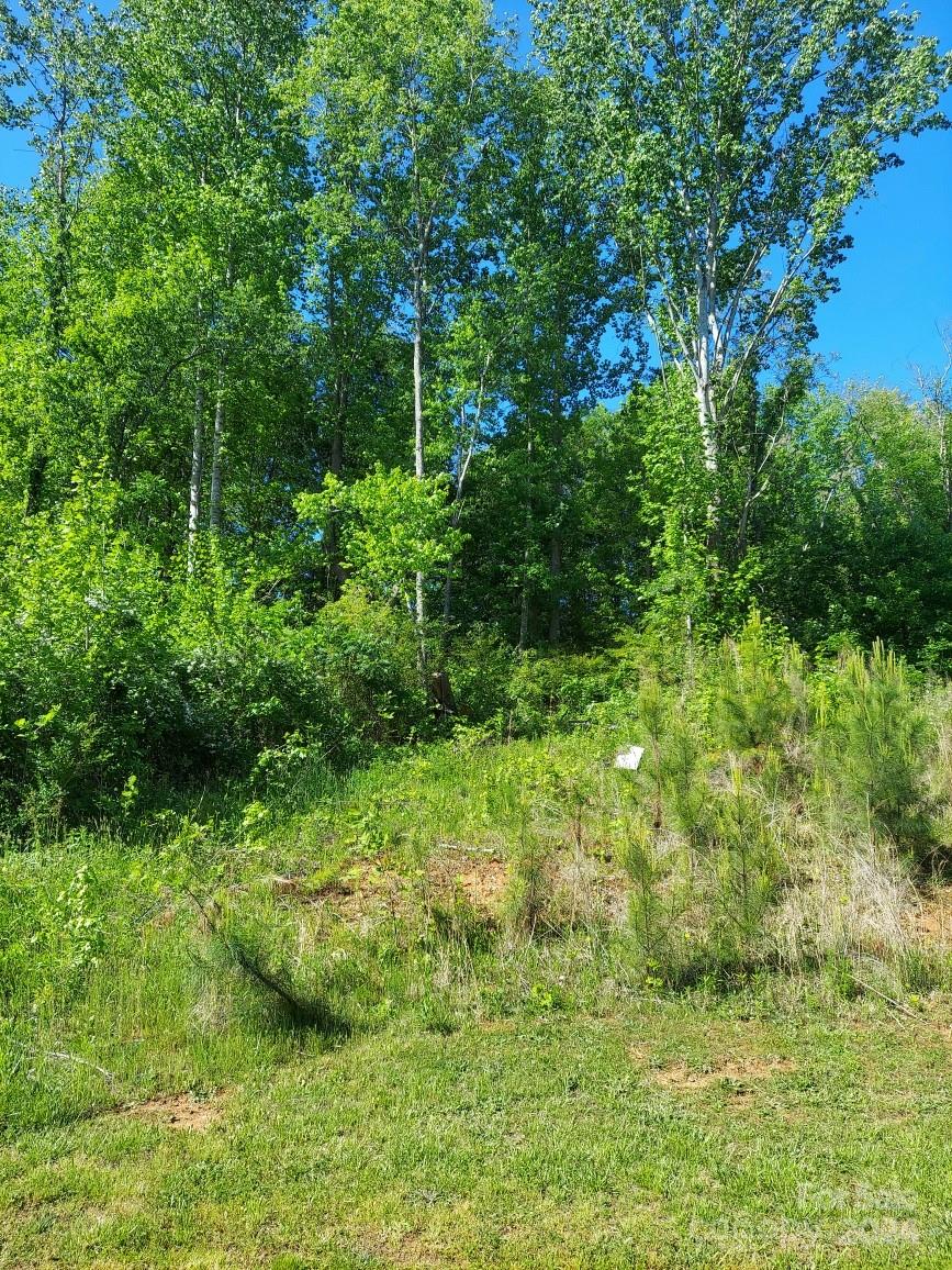 Sanders Landing - Land