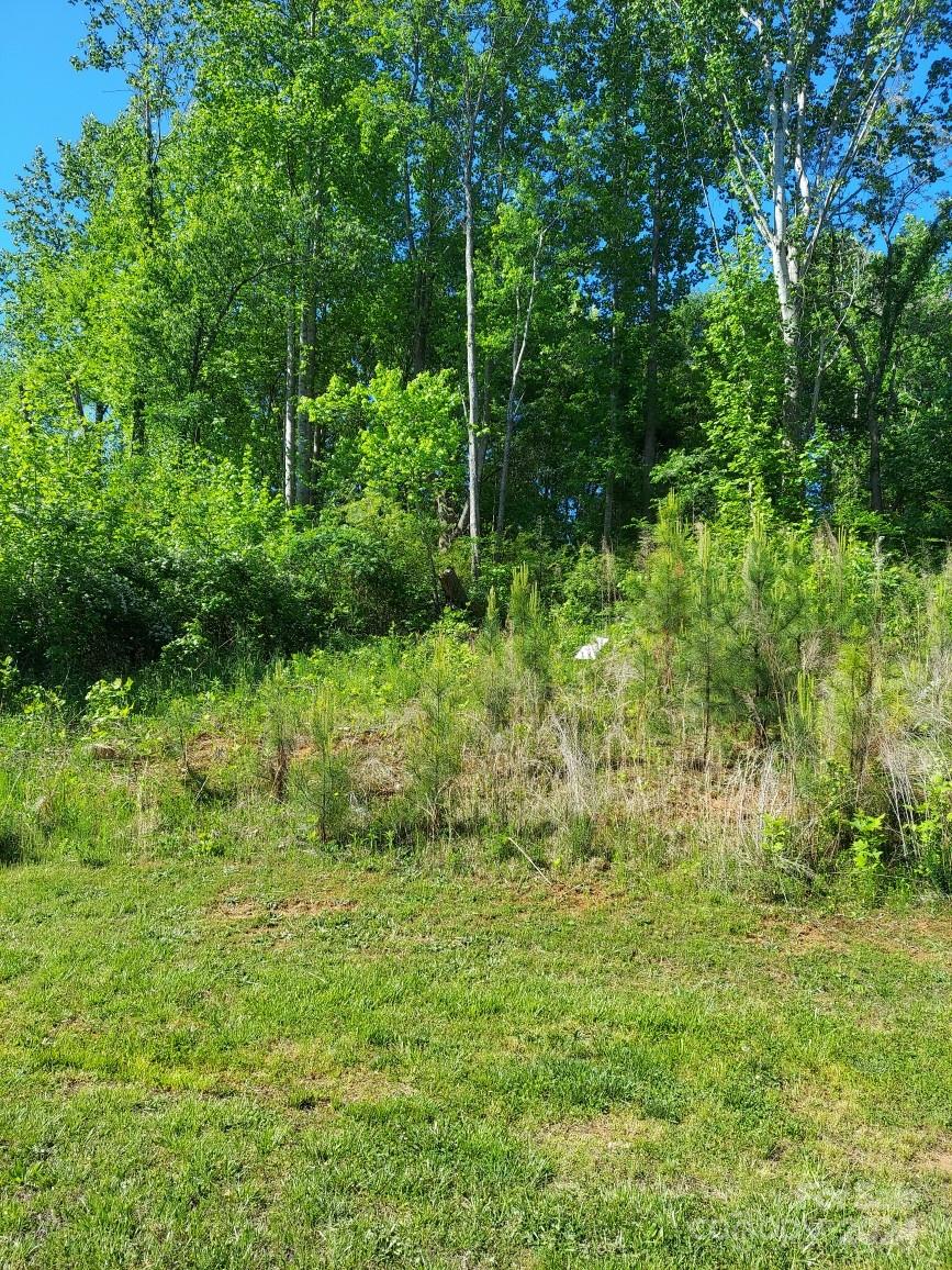 Sanders Landing - Land