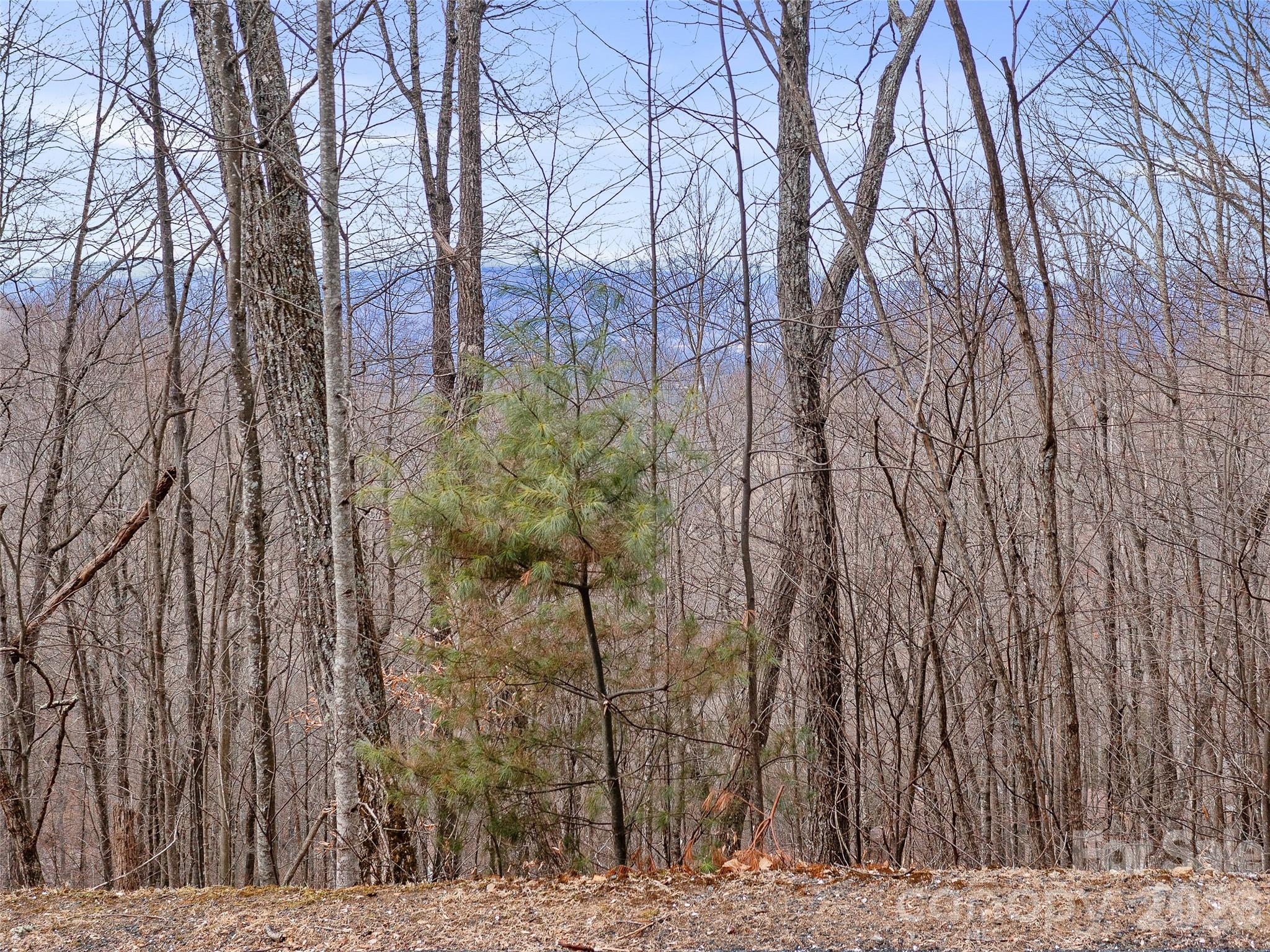 Mountain Air - Land