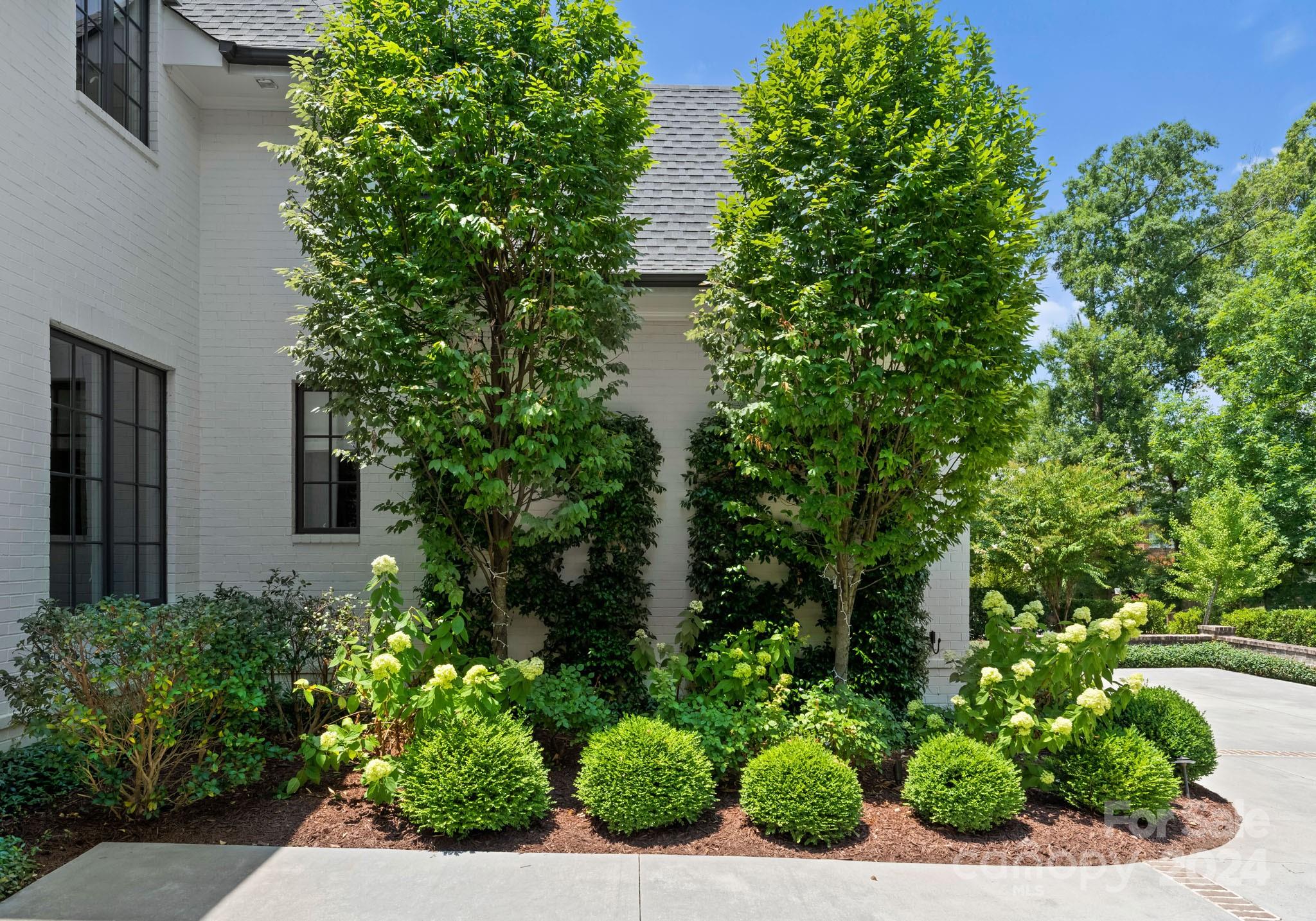 Myers Park - Residential