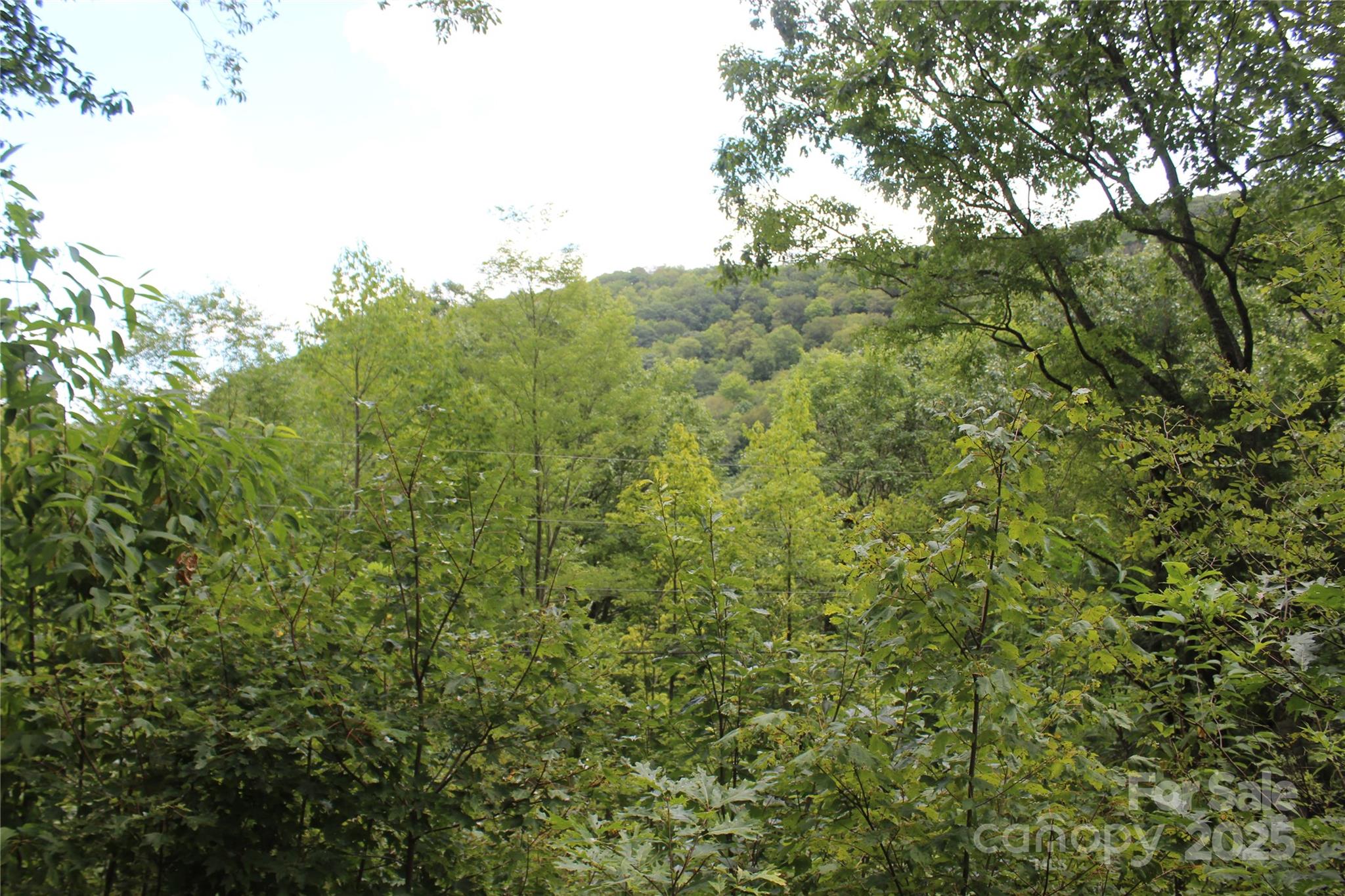 Smoky Falls - Land