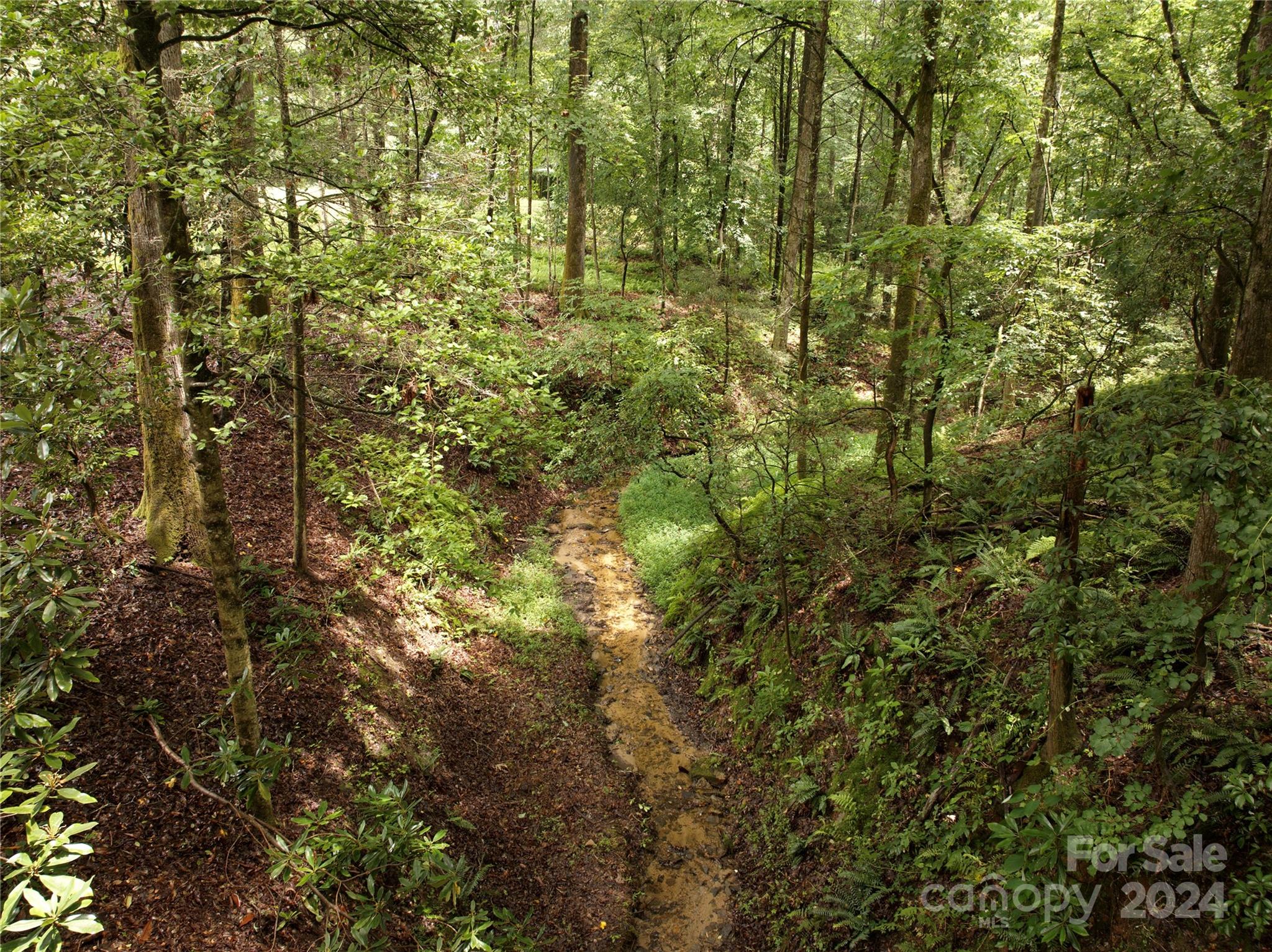 Mountain Brook - Residential