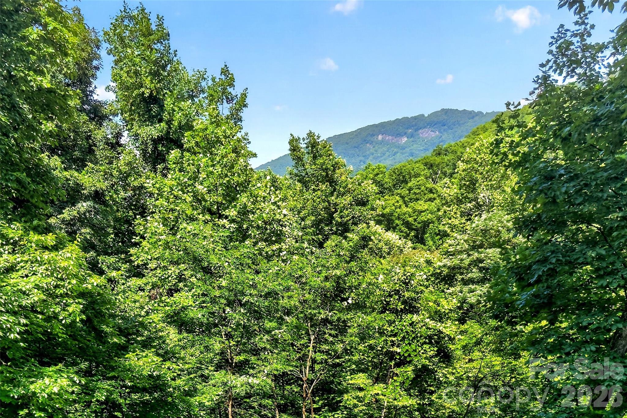 Gateway Mountain - Residential