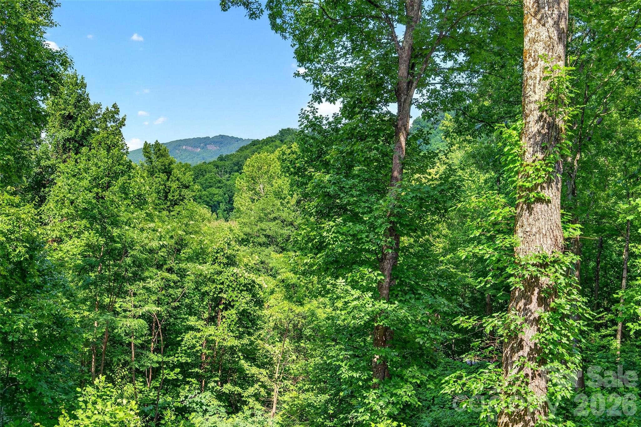 Gateway Mountain - Residential