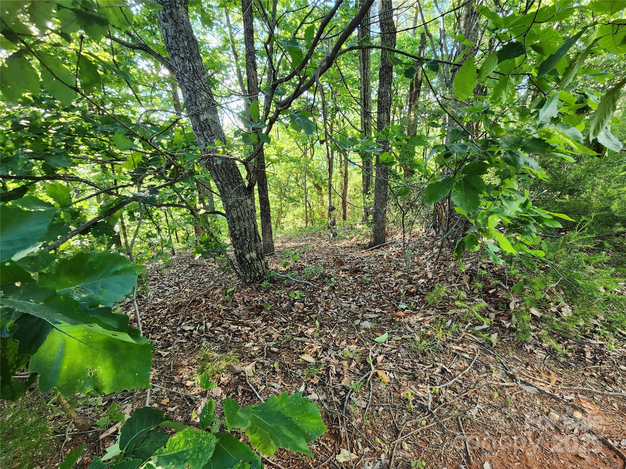 Golden Valley Estates - Land