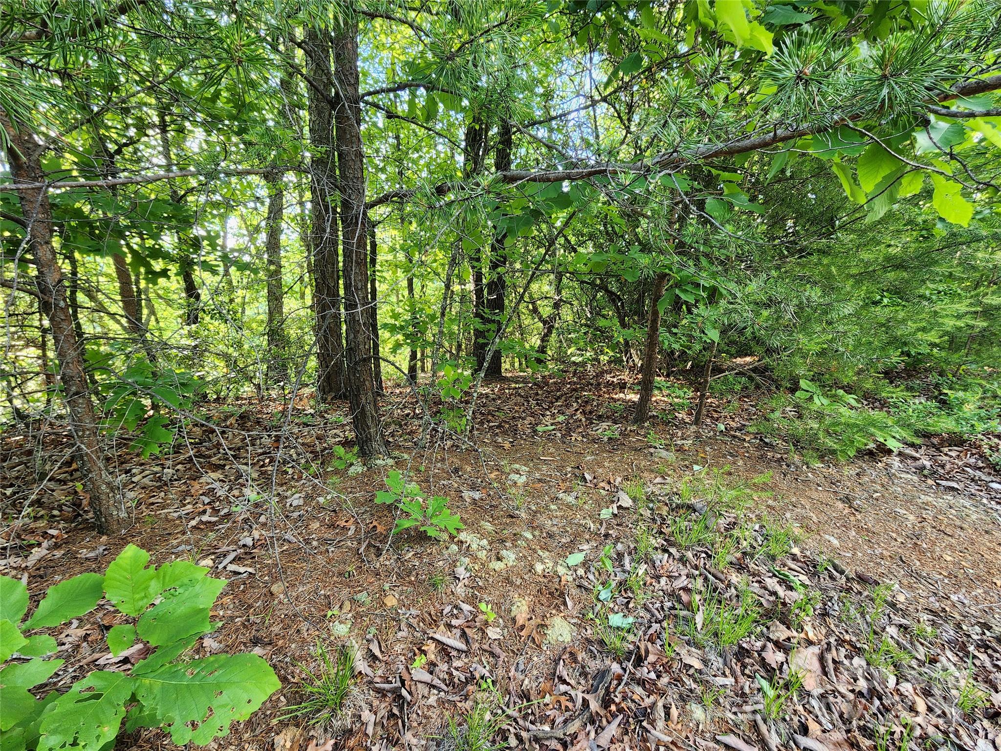 Golden Valley Estates - Land