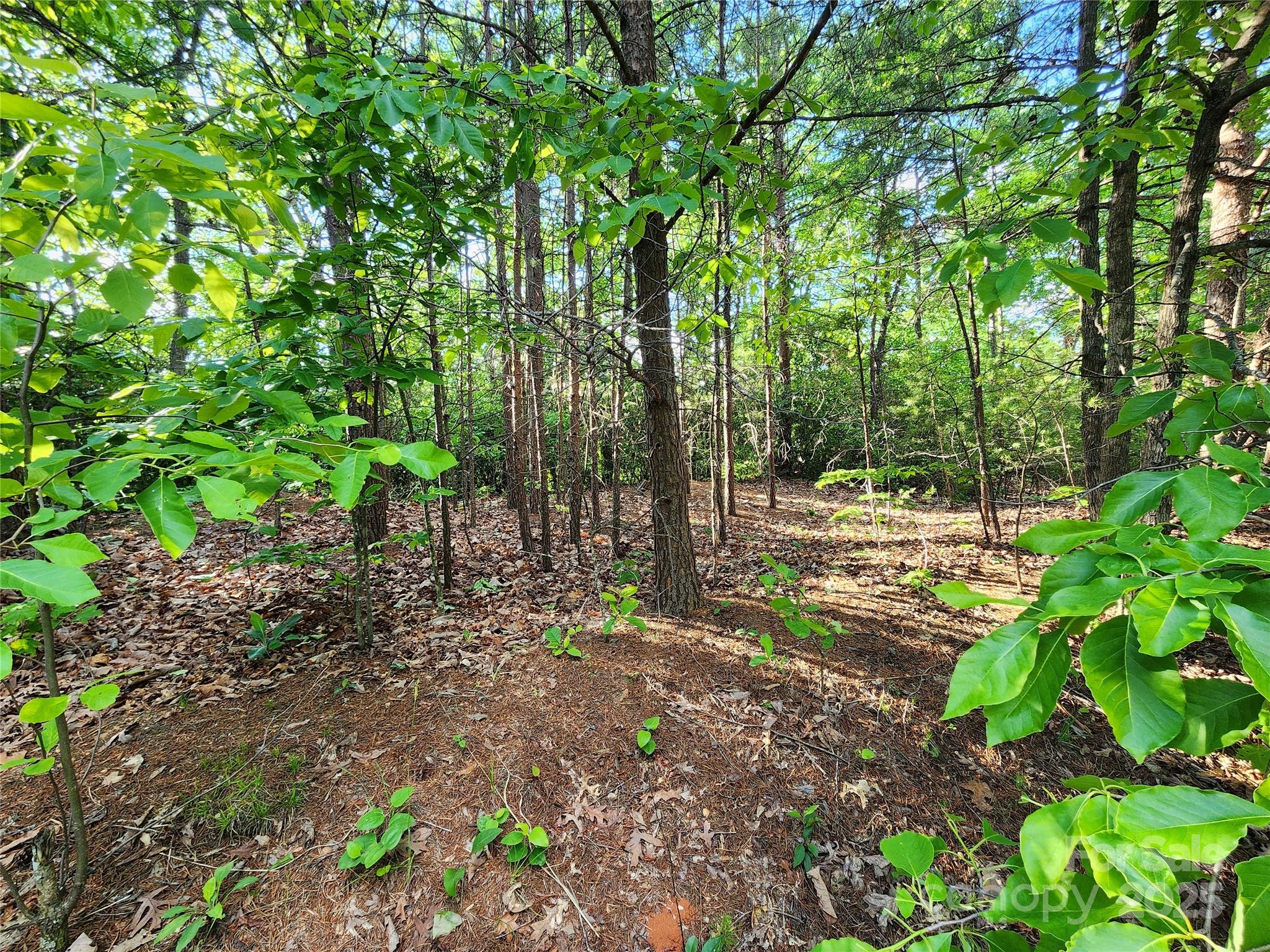 Golden Valley Estates - Land