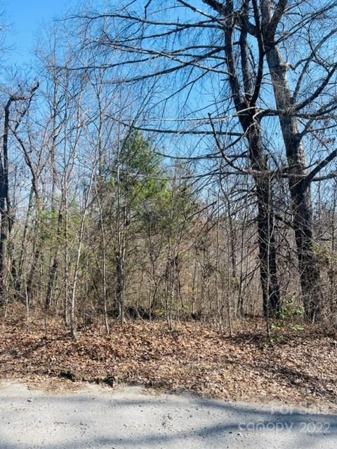 Nice 1/2lot in a quiet neighborhood ready to build your dream home. Gently sloping lot has paved road frontage and access to county water for a tap fee.