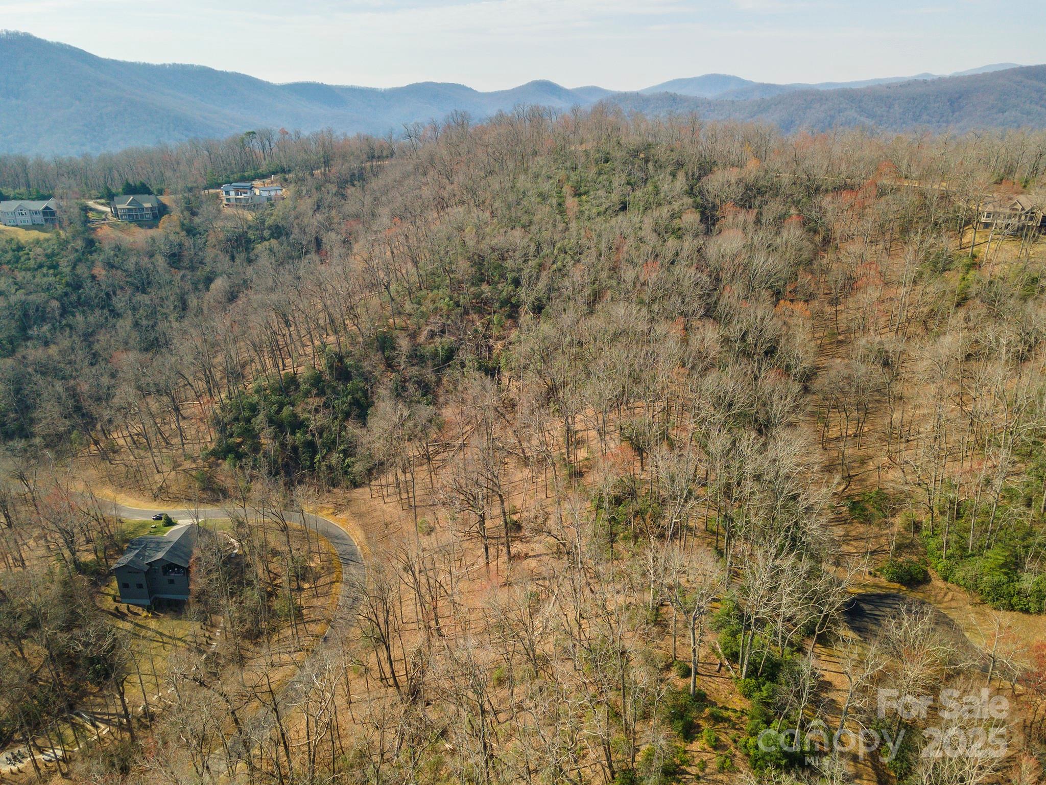 Homestead at Mills River - Land