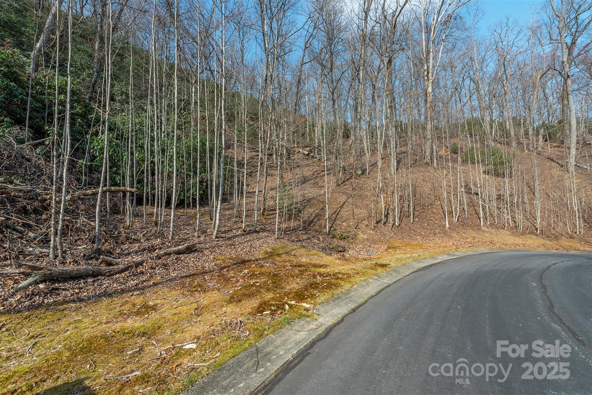 You must see this lot with potential views upon which to build your dream home. Beautiful gated subdivision. Rhododendron and Mountain Laurel galore. Paved roads with beautiful wooded areas along the way. Storm sewers already in place. Underground utilities and natural gas are available. Club house is remote on 10+ acres along Mills River. Great for events, camping, barbecuing and fishing. Convenience is awesome being just approximately 5 minutes from Ingles Supermarket and a new Publix under construction, 10 minutes to Sierra Nevada Brewery, 15 minutes to the airport , 25 minutes to Hendersonville and Brevard and about 35 minutes to Downtown Asheville. Build your dream home in this mountain paradise. The Mills River area offers some of the finest trout streams, camping, hiking and mountain biking in the WNC area.