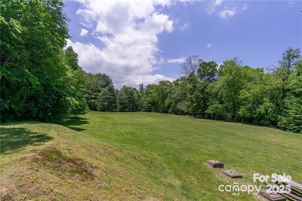 Homestead at Mills River - Land