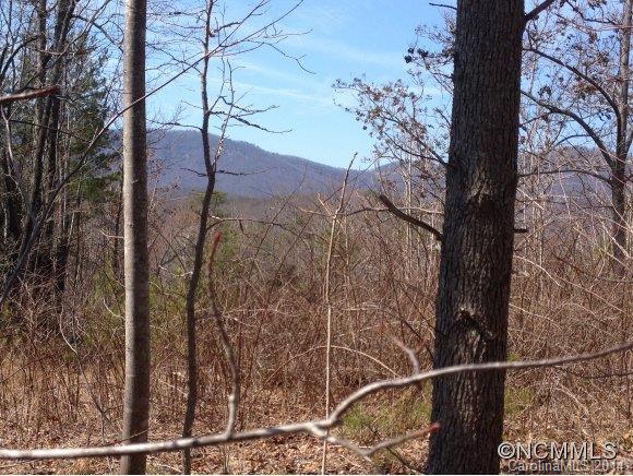 If seclusion is what you are after, this is the lot for you.  Surrounded by Nature Conservancy land and close to the Blue Wall Preserve.  Great spot for your cabin in the woods without a long drive to civilization.  Well in place, septic needed.  Seller may grant access to a boat house on Lake Lanier.