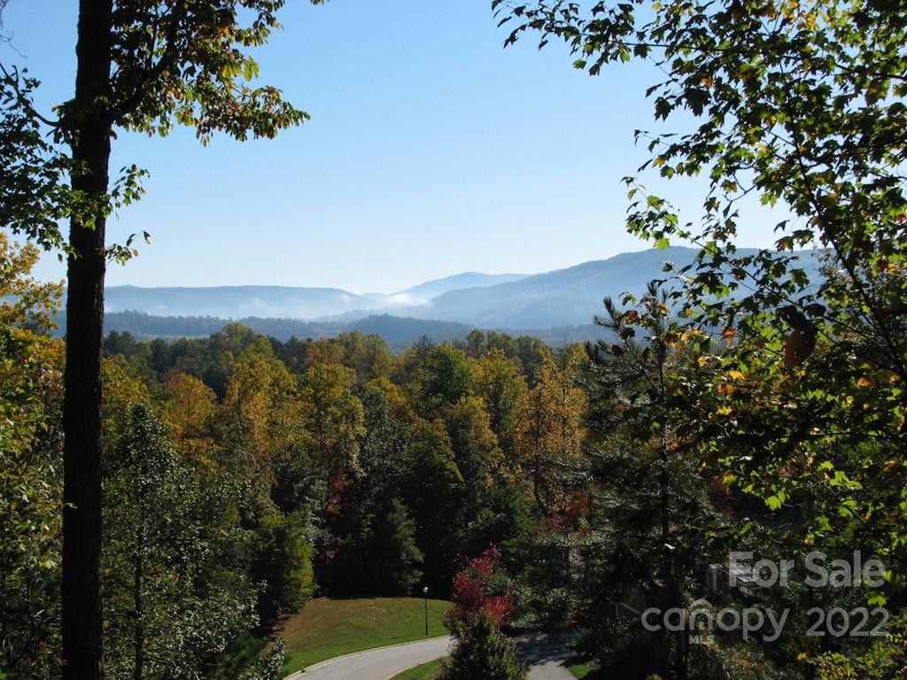 Amazing year-round mountain views in Straus Park  without having to climb up the steep grade. Easy walk to clubhouse, pool, tennis courts, and lake as well as a community garden and trail system. Straus Park offers city living in low-density wooded community of fine homes. This homesite offers 180-degree views over Brevard and surrounding Mountains.