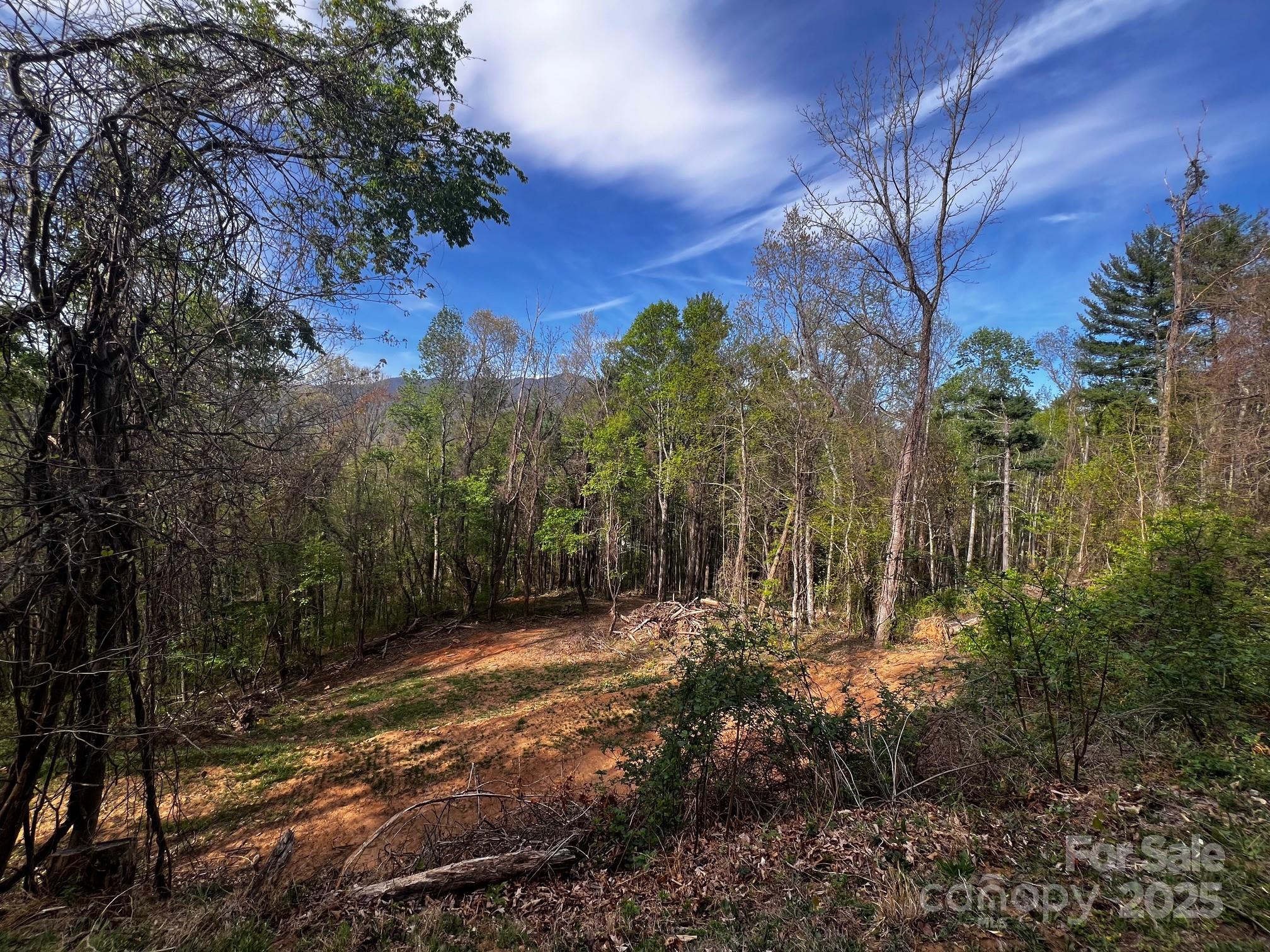 Springdale Estates - Land