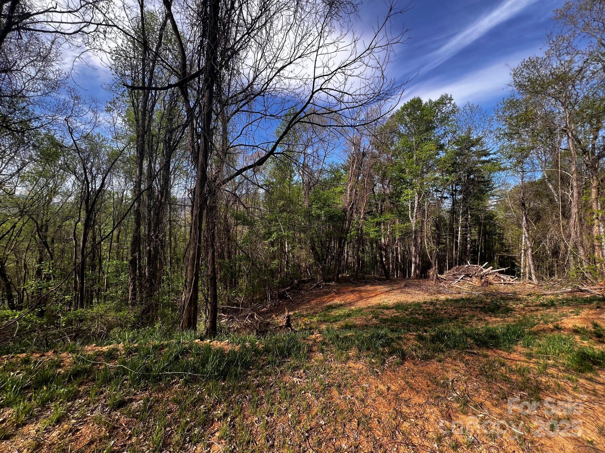 Springdale Estates - Land