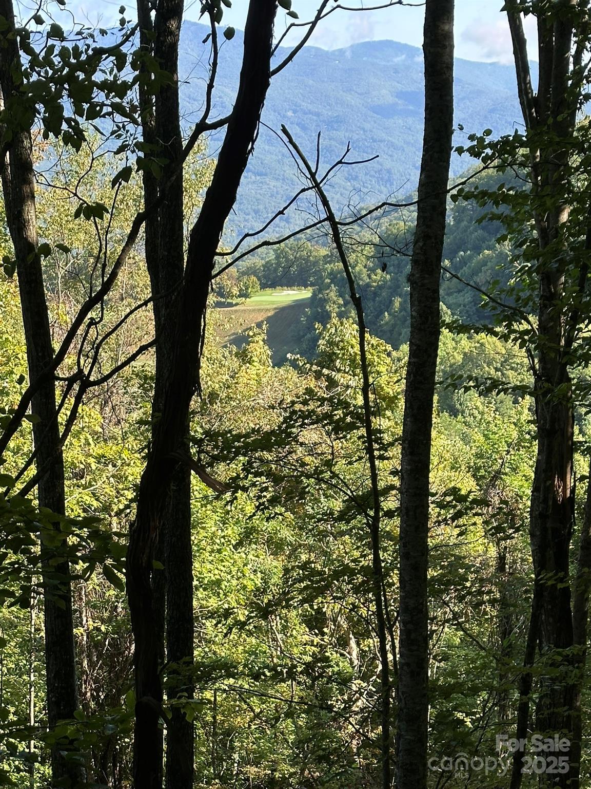 Balsam Mountain Preserve - Land