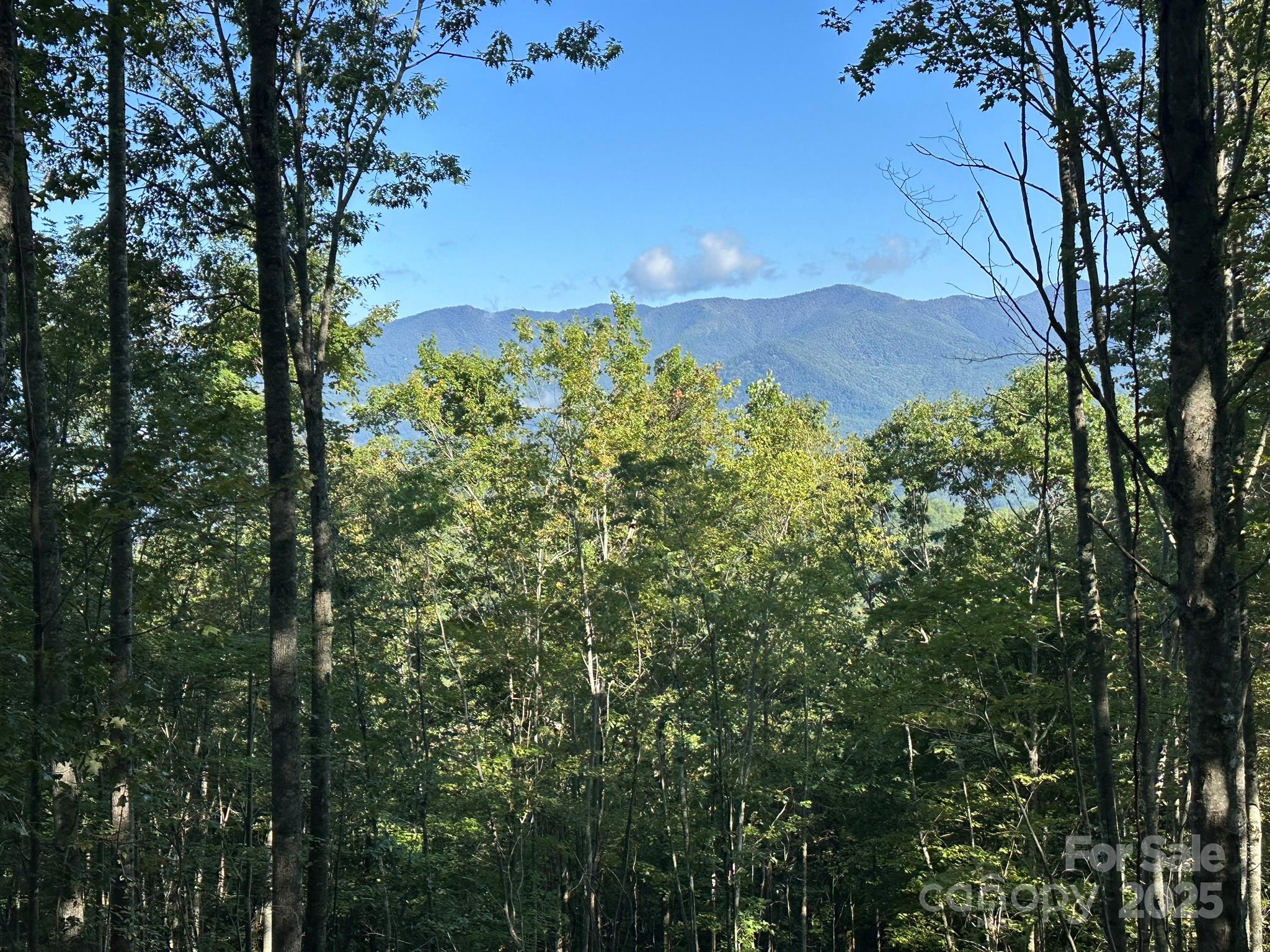 Balsam Mountain Preserve - Land