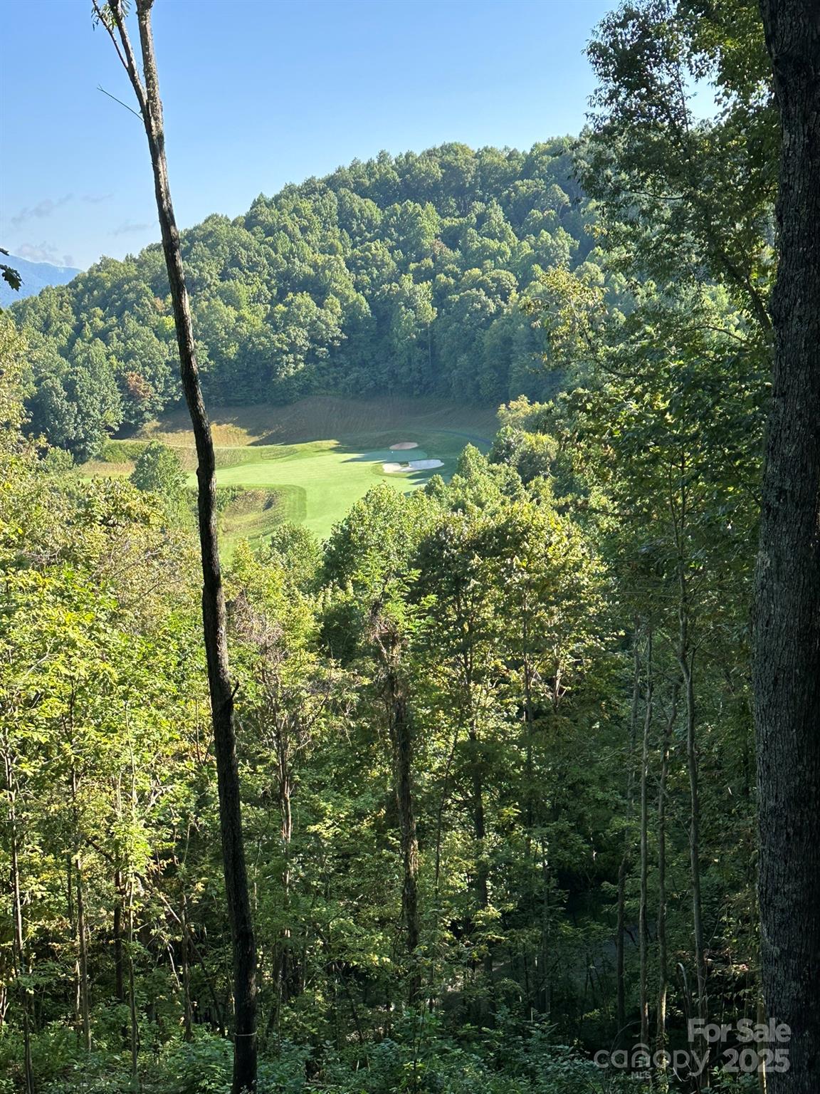 Balsam Mountain Preserve - Land