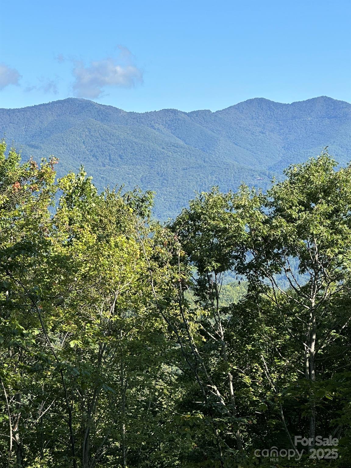 Balsam Mountain Preserve - Land