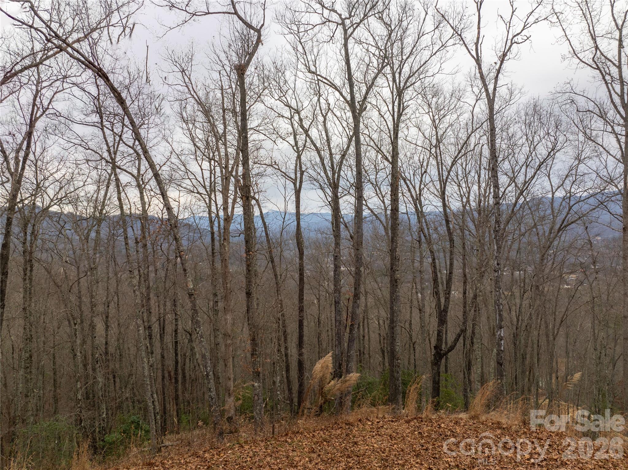 Bryson Gap Preserve - Land