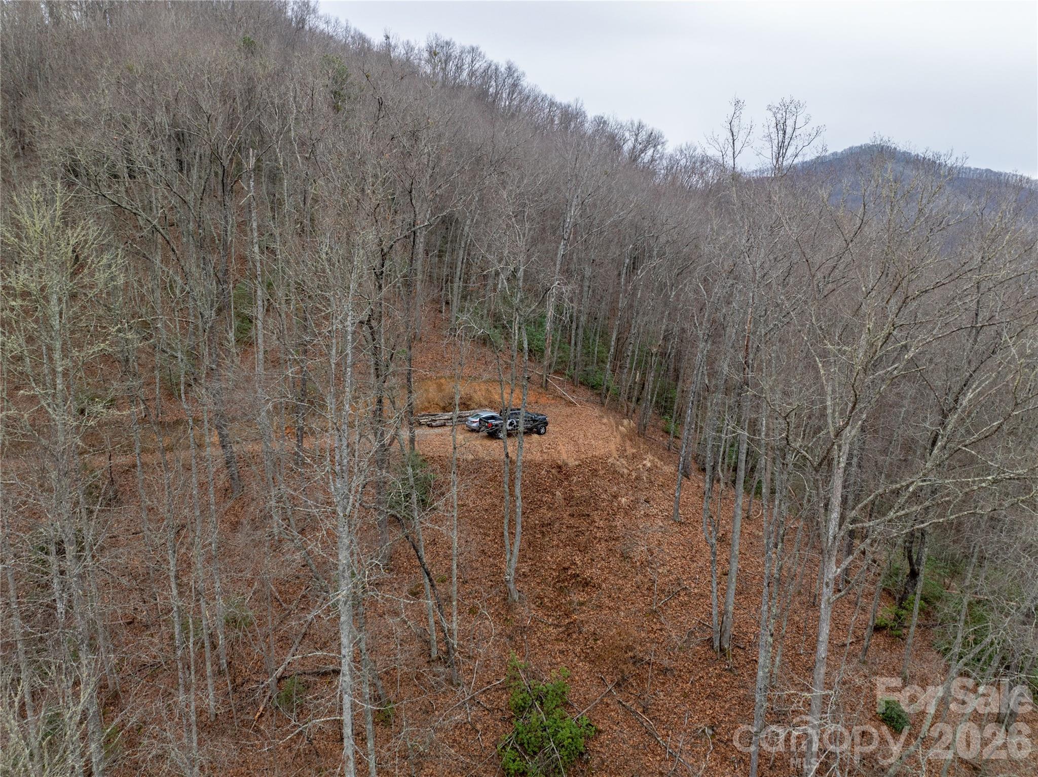 Bryson Gap Preserve - Land