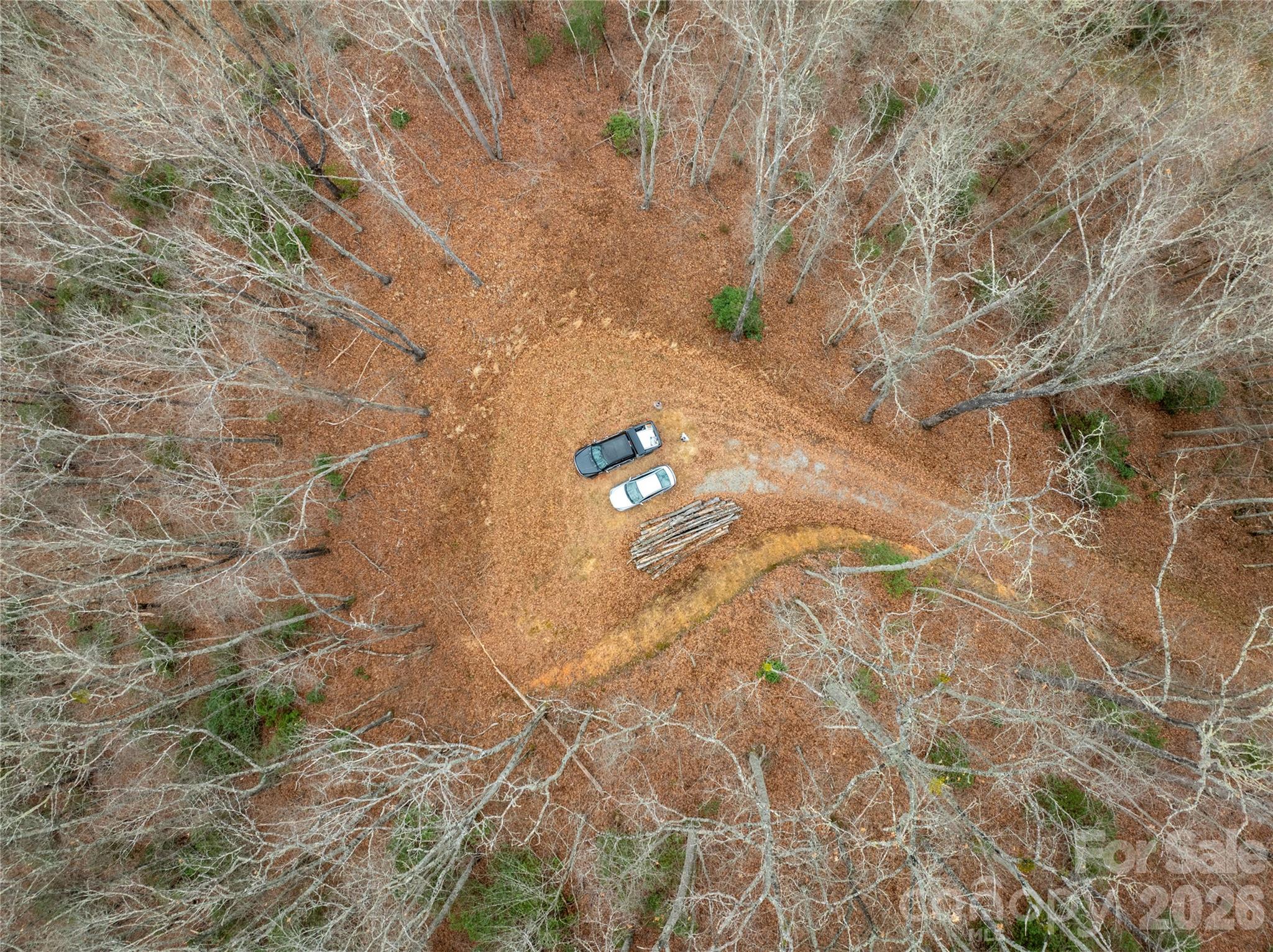 Bryson Gap Preserve - Land