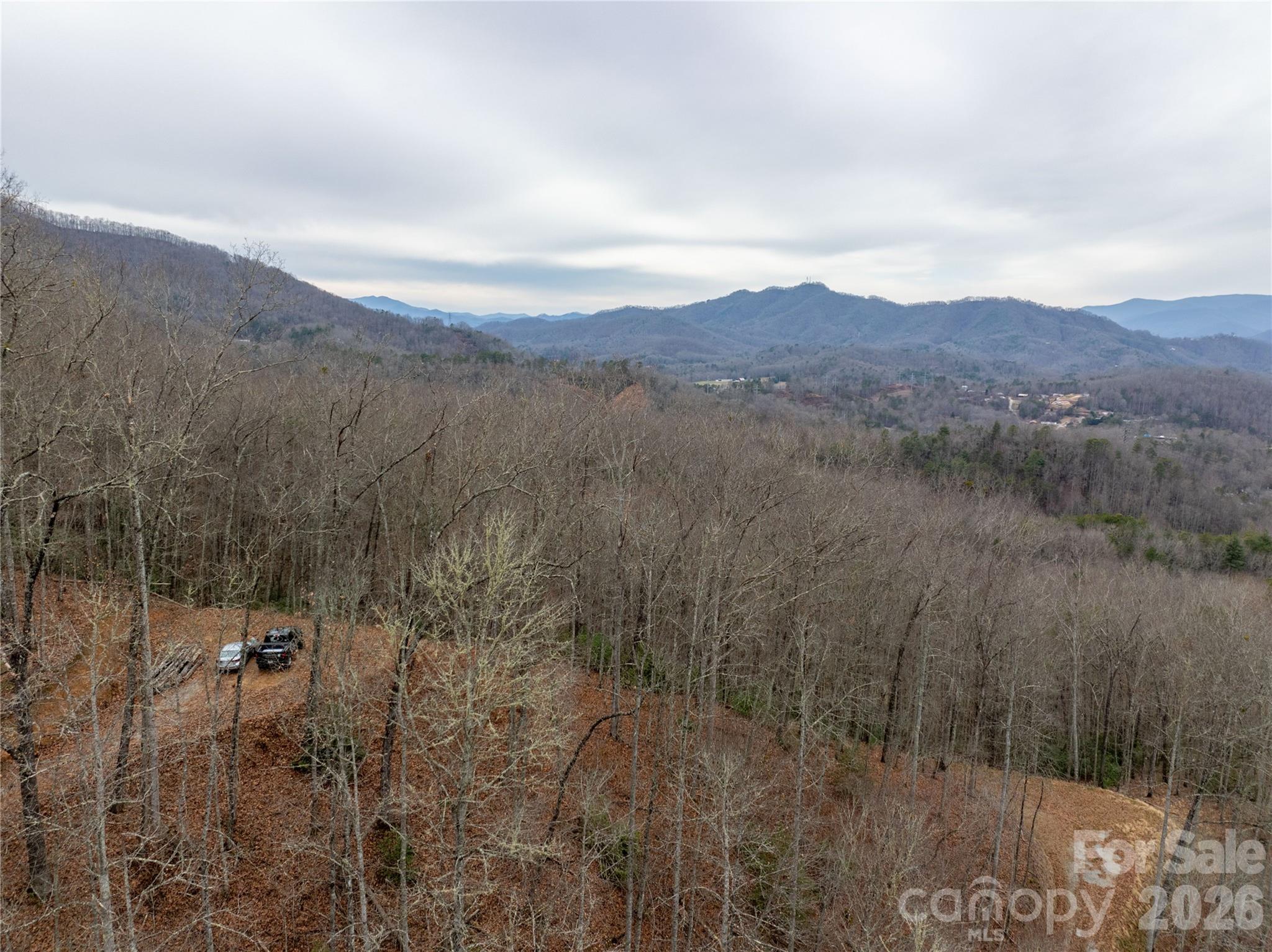 Bryson Gap Preserve - Land
