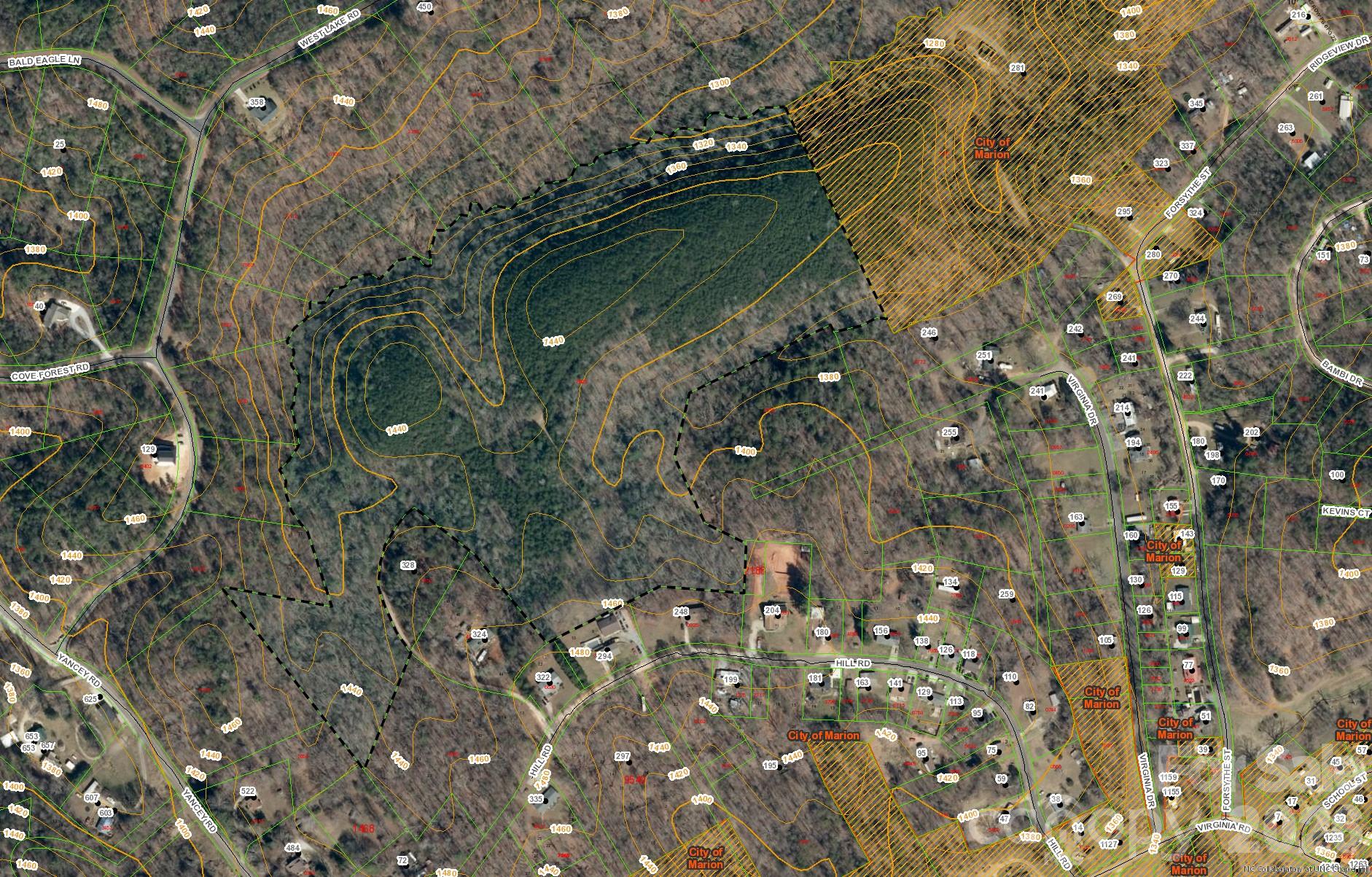 Main image without alt text