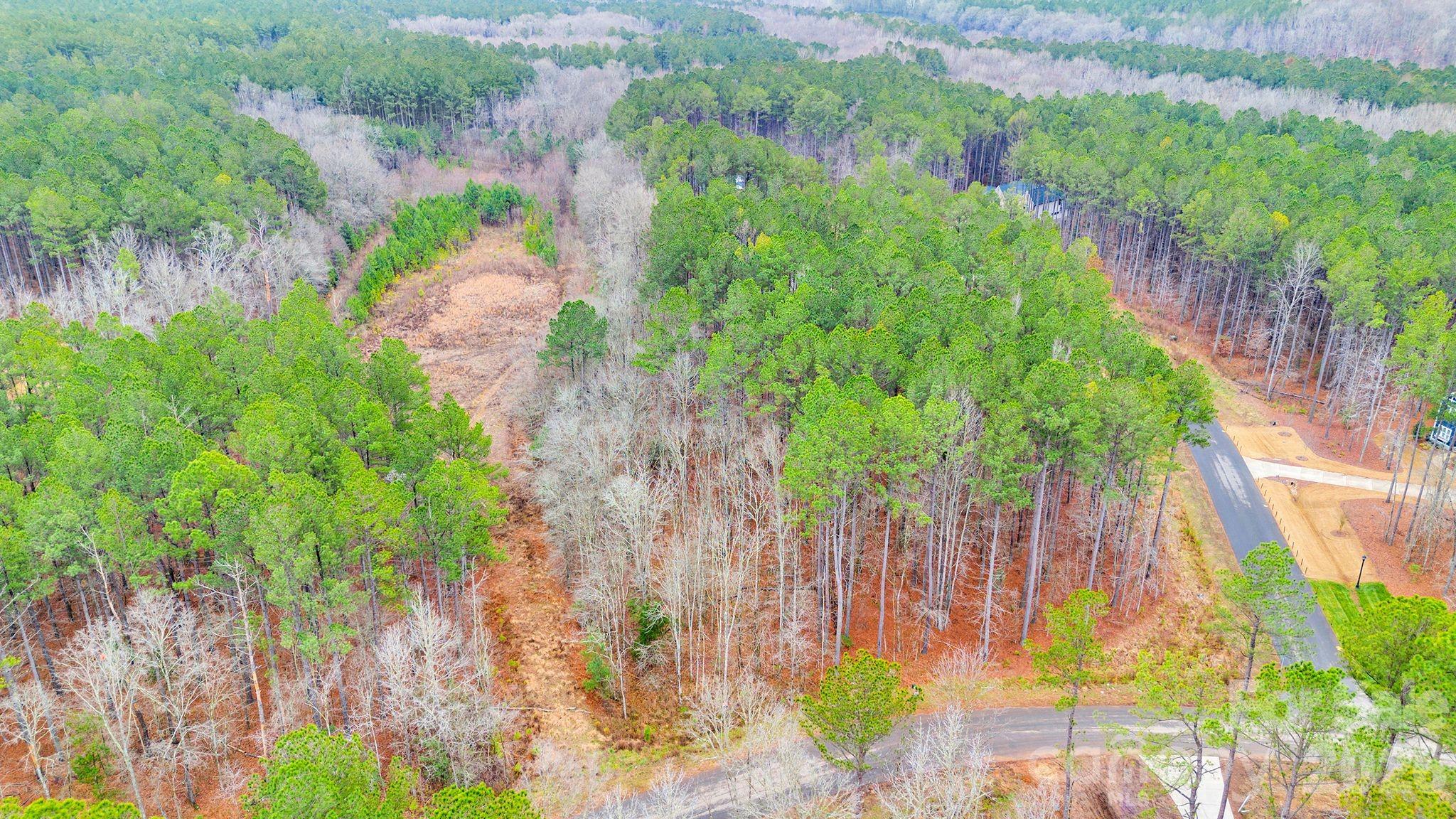 Riverchase Estates - Land