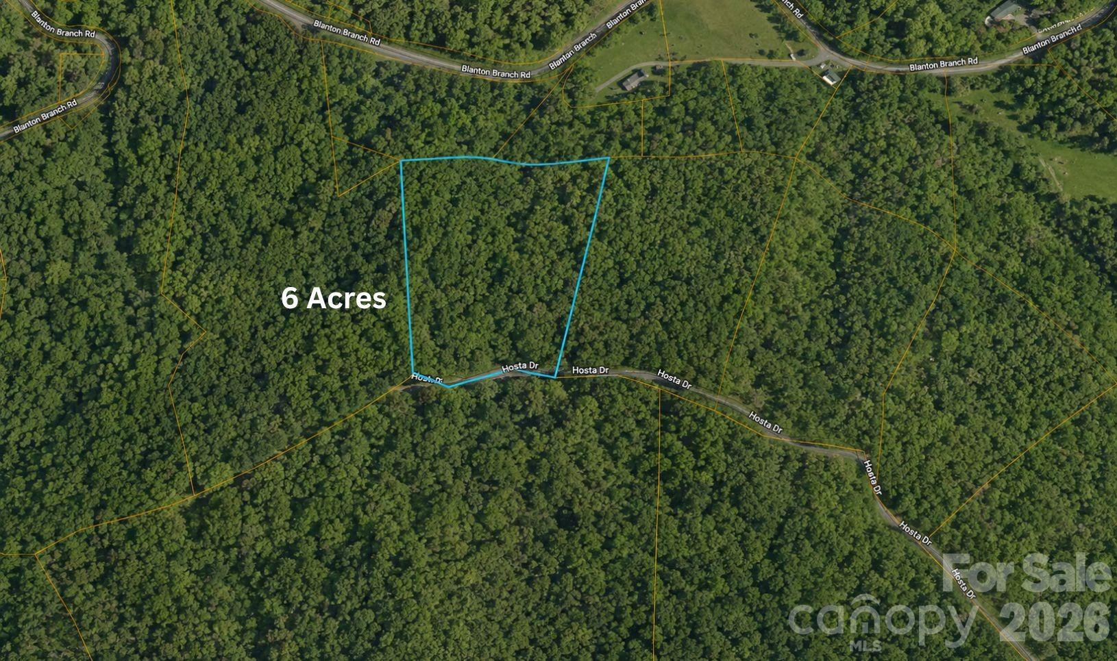 READY-TO-BUILD MOUNTAIN RETREAT WITH VIEWS, PRIVACY & SELLER FINANCING! 
Discover 6.49± acres in the desirable Cane Creek Ridge community of Sylva, NC, perched at approximately 3,500 feet elevation with beautiful mountain views, peaceful wooded surroundings, and approximately 360 feet of road frontage on Hosta Drive. Much of the groundwork has already been completed, including an established driveway, house pad, and approved septic permit, making it easier to start building your dream mountain home. With a minimum home size of just 600 square feet, this property offers an affordable opportunity for a full-time residence, vacation getaway, or investment. 
Enjoy well-maintained HOA gravel roads, abundant privacy, and convenient access to the Great Smoky Mountains National Park, Blue Ridge Parkway, Nantahala National Forest, Whitewater Falls, Soco Falls, Whiteside Mountain, and the Tuckasegee River. Electricity is available nearby but not connected; a private well and septic system will be required. Buyer to verify survey, utilities, and intended use during due diligence. Motivated seller offering seller financing and welcoming offers—don't miss this rare opportunity to own a ready-to-build mountain property in Western North Carolina!
Equitable interest / assignment of contract. Seller does not hold title. Sale subject to underlying agreement. Buyer to perform due diligence. Contact listing agent for details.