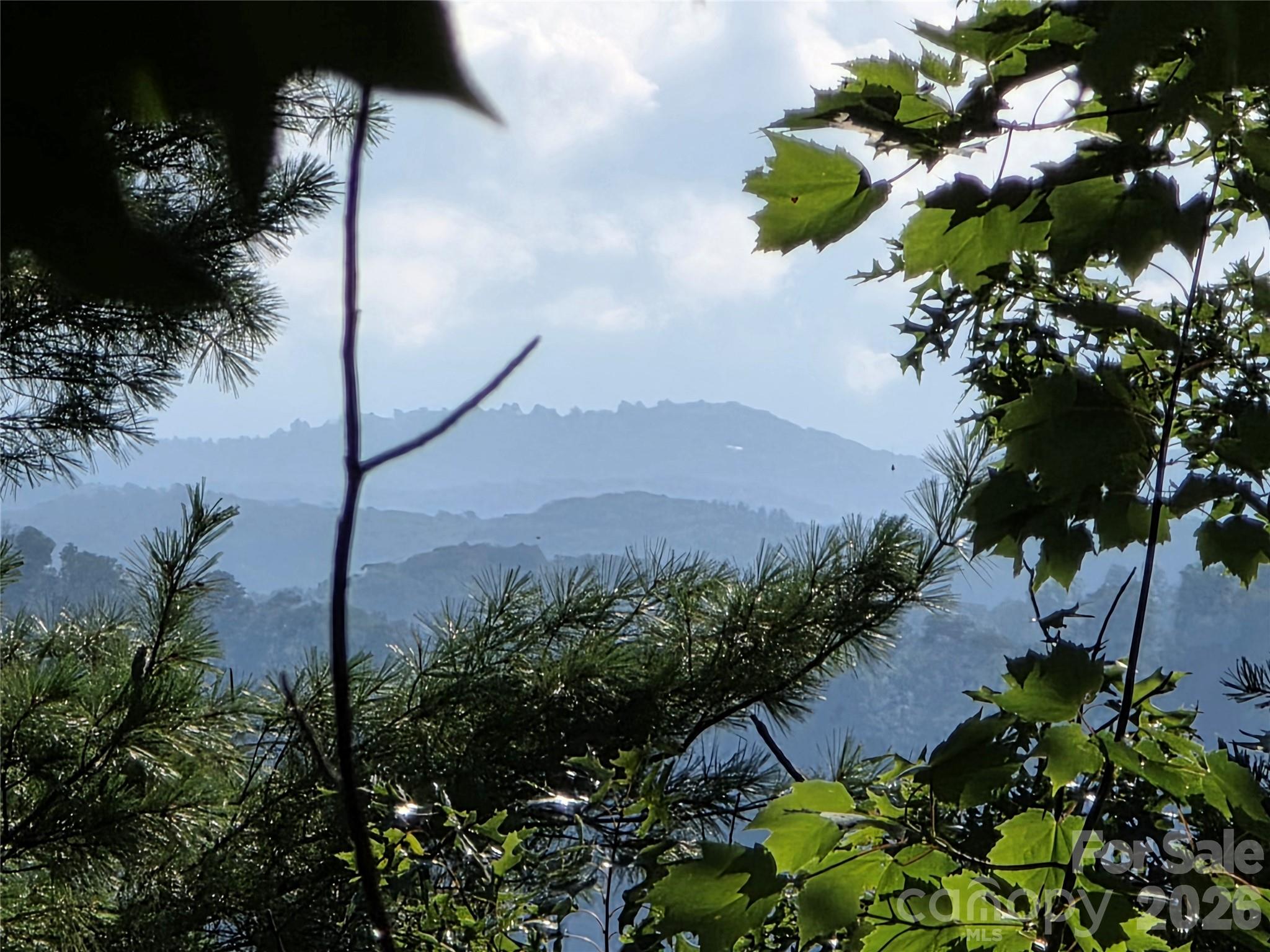 Discover Deerwood, where this stunning 1.54 acre homesite showcases long range mountain views and peaceful valley scenery. The gated community places you minutes from iconic outdoor destinations, Linville Caverns, Linville Falls, Linville Gorge, Tom’s Creek Falls, Mount Mitchell, and Grandfather Mountain. A short 30 minute drive brings you to downtown Marion, known for its vibrant mix of shops, galleries, restaurants, breweries, and year round festivals. From the WNC Bigfoot Festival to the Livermush Festival, Mountain Glory Festival, holiday parades, art shows, and family friendly events, there’s always something happening. Centrally located between Boone and Asheville which are both one hour away. Build your mountain retreat in this beautiful setting surrounded by nature and convenience. Adjoining parcel available—MLS# 4404742, Lot #72 Fawn Lane.