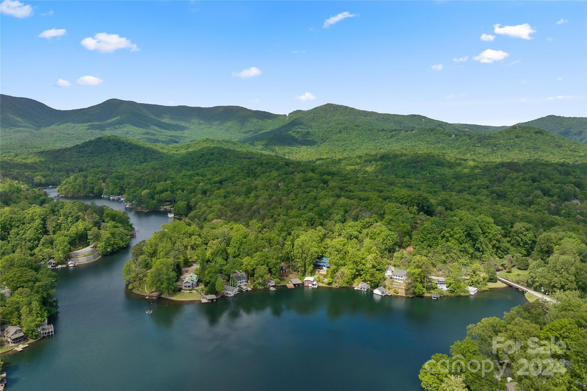 Lake Lanier - Residential