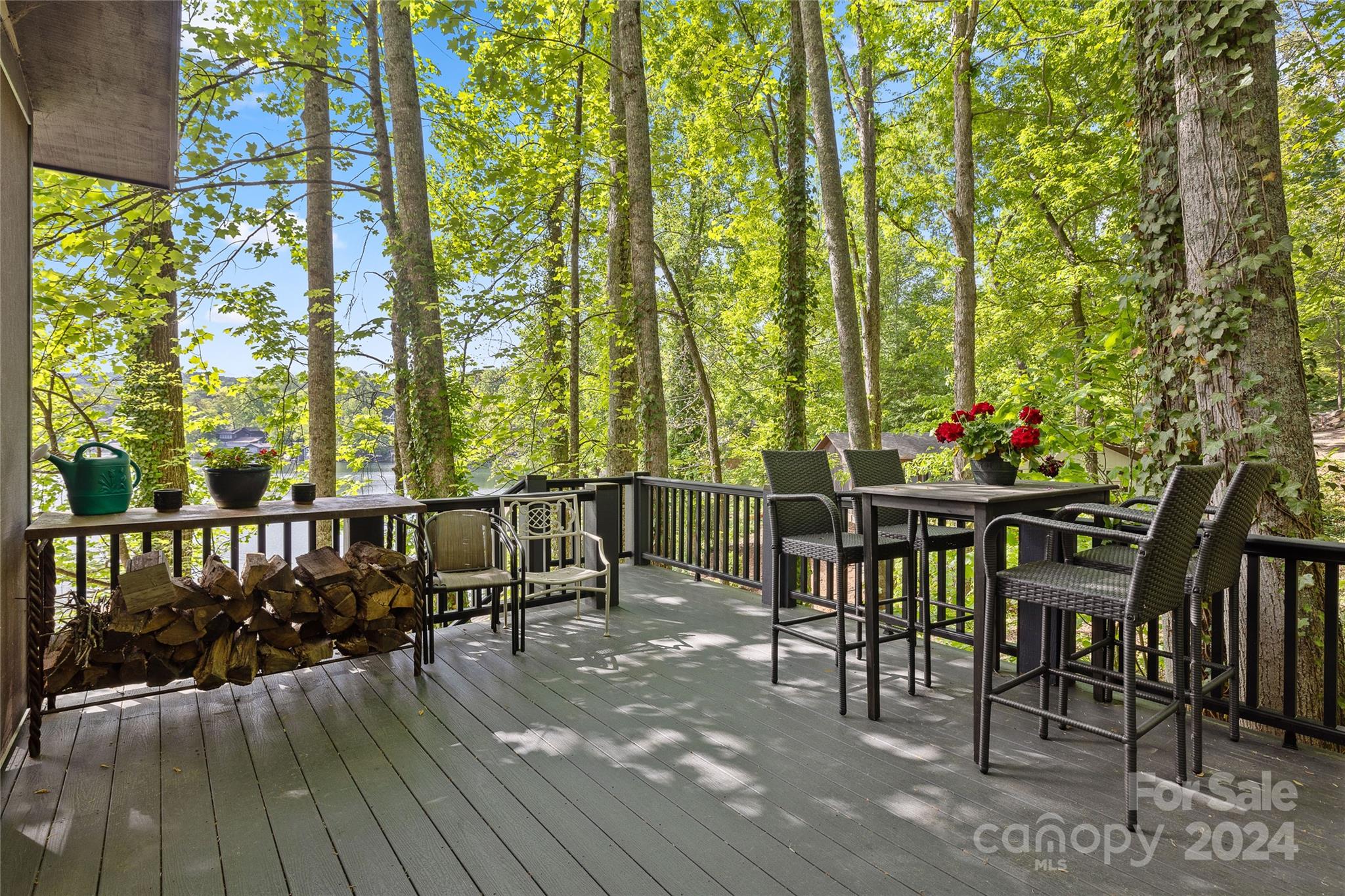 Lake Lanier - Residential