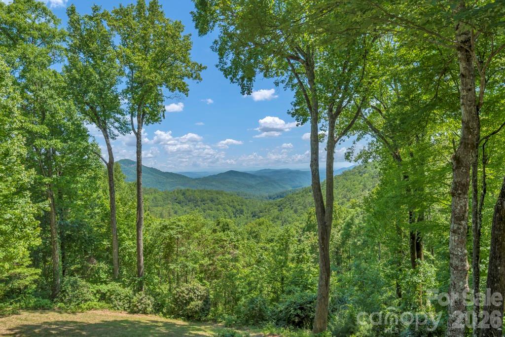 The Orchards of Mayview - Residential