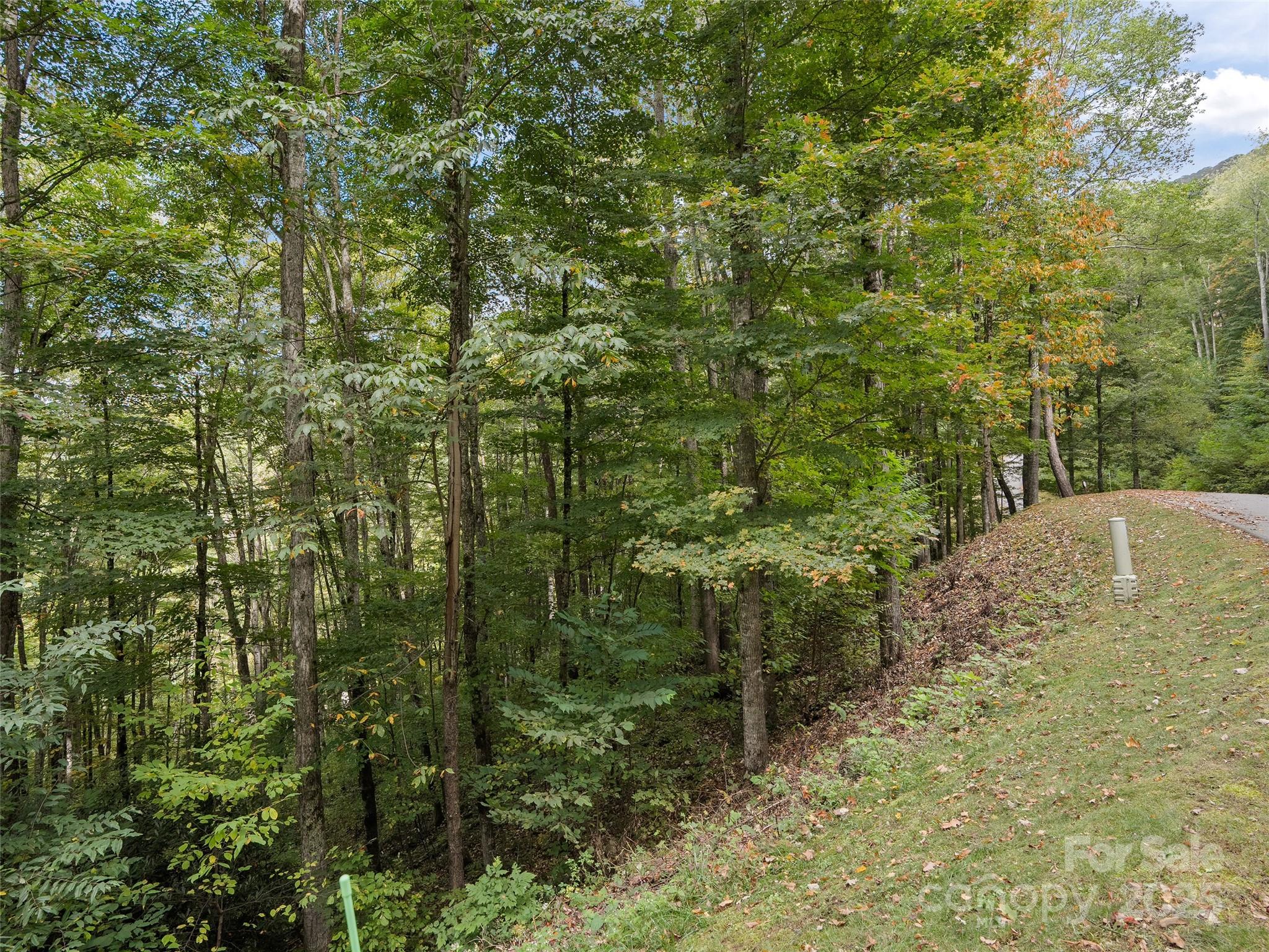 Located in the gated Ascot Club at Highland Forest, this homesite offers stunning mountain view potential and the promise of a luxury retreat. Just minutes from downtown Waynesville, you’ll enjoy paved roads, fiber-optic internet, and access to an upscale clubhouse with restaurant, bar, indoor pool, fitness center, library, and guest suites. A community park adds to the appeal. Homes here are celebrated for exquisite character, attention to detail, and fine craftsmanship that define the luxury mountain lifestyle. Tree removal will be needed to fully open views with developer input/approval. Well and septic required; impact and connection fees apply.