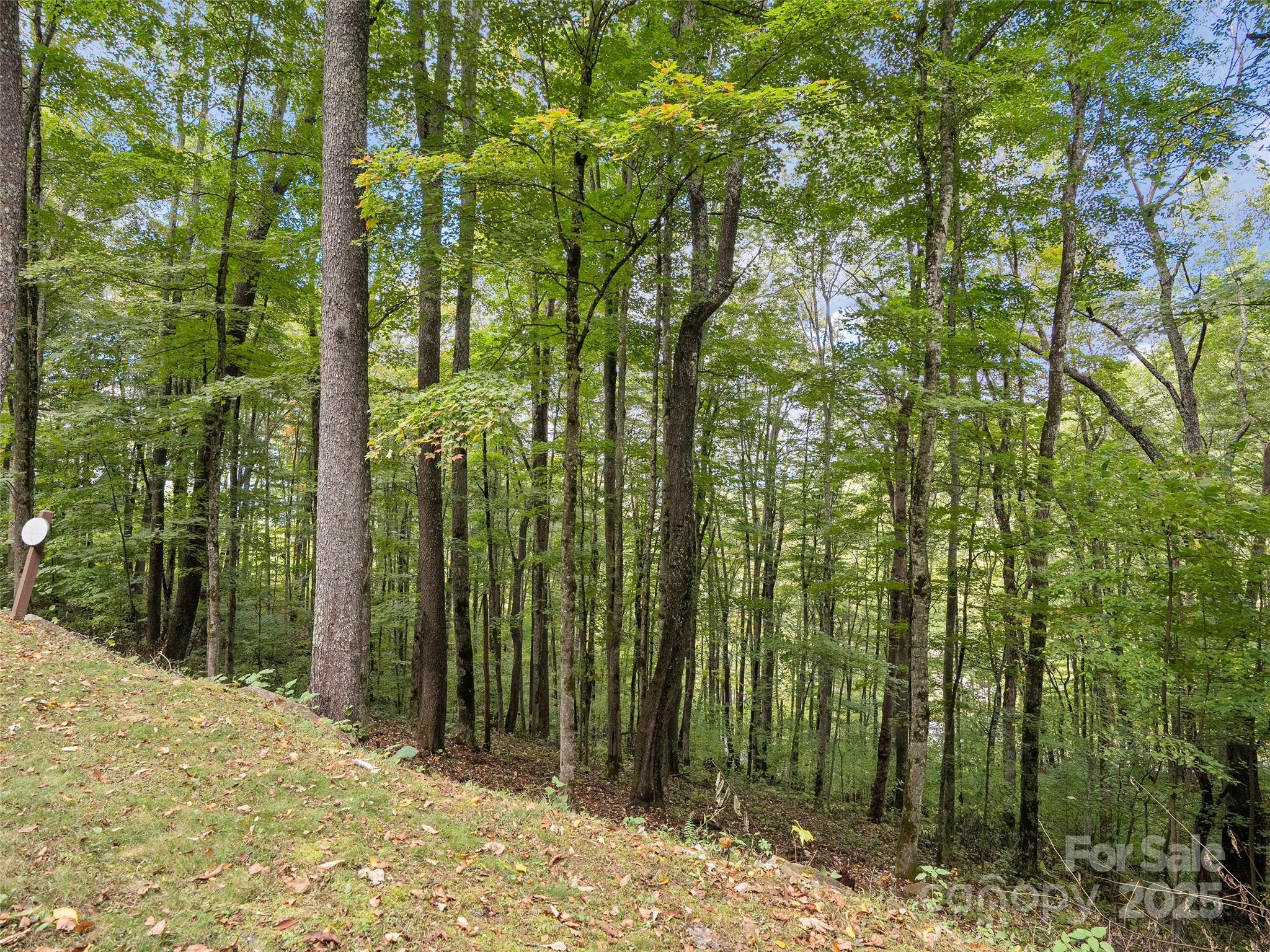Highland Forest - Land