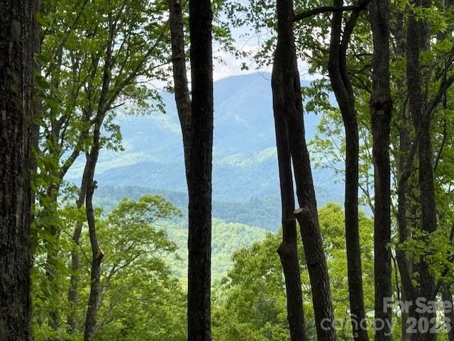 This stunning 2.33 acre lot is less than ten minutes from the amenities and the main gate. Sitting at 3600 ft of elevation and facing due west, imagine the many sun sets over the rolling mountains. A long driveway already in, the site is ready for you to build the home of your dreams. Balsam Mountain Preserve is a private 4,400 acre club community with 3,200 acres of conservation land with completed amenities featuring an Arnold Palmer Signature Golf Course, Palmer Practice Park, Equestrian Center, Ruby Valley Fitness & Wellness Pavilion, scenic trails, tennis and dining. In addition, the stunning new facilities at Doubletop Village, including the Summit House Restaurant and Mine Tavern, are now open to members and their guests.