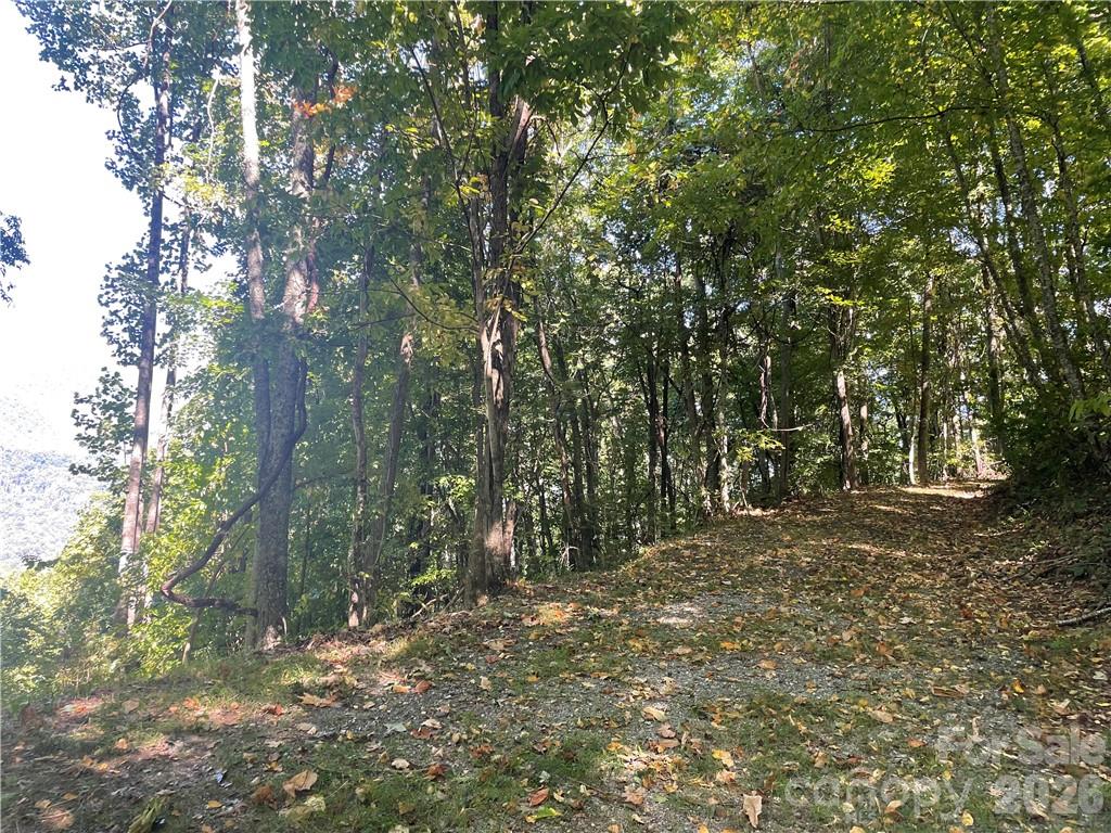 Balsam Mountain Preserve - Land