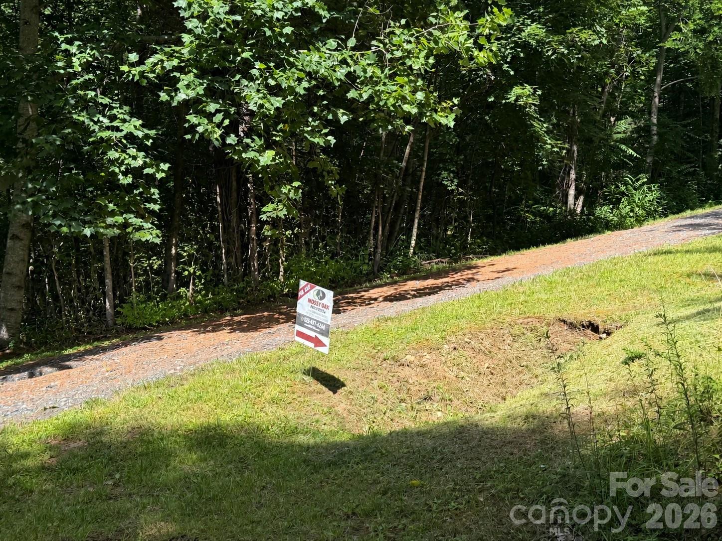 The Orchard of Greene Cove - Land
