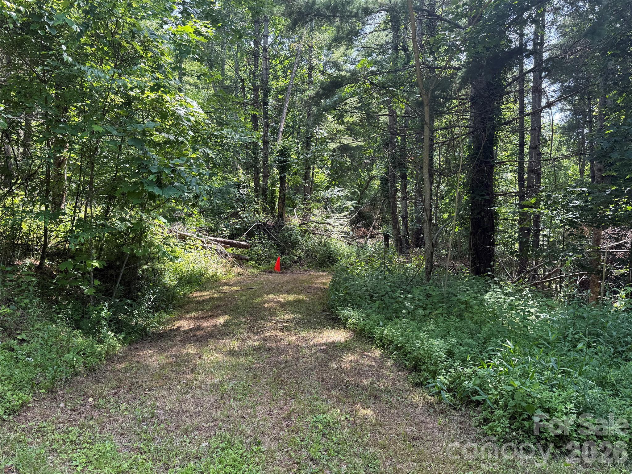 The Orchard of Greene Cove - Land
