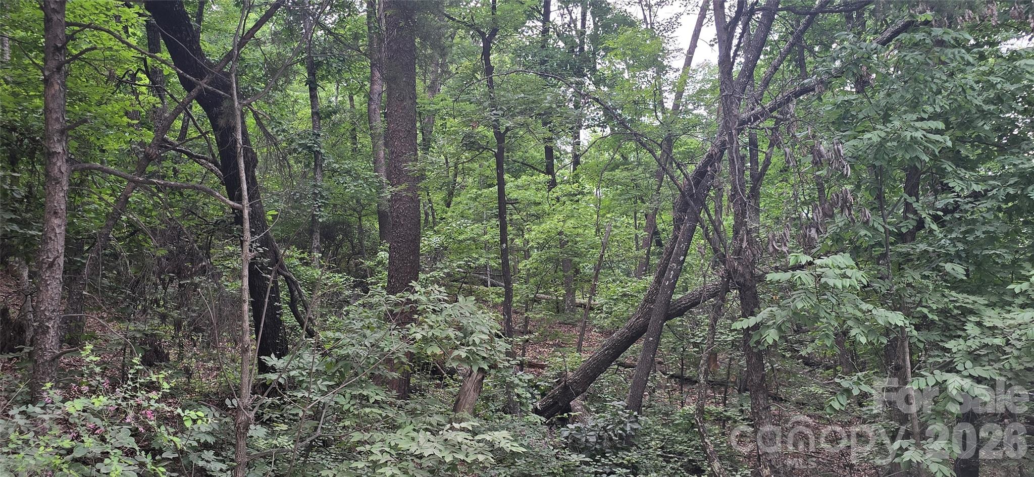 Pinnacle Ridge - Land