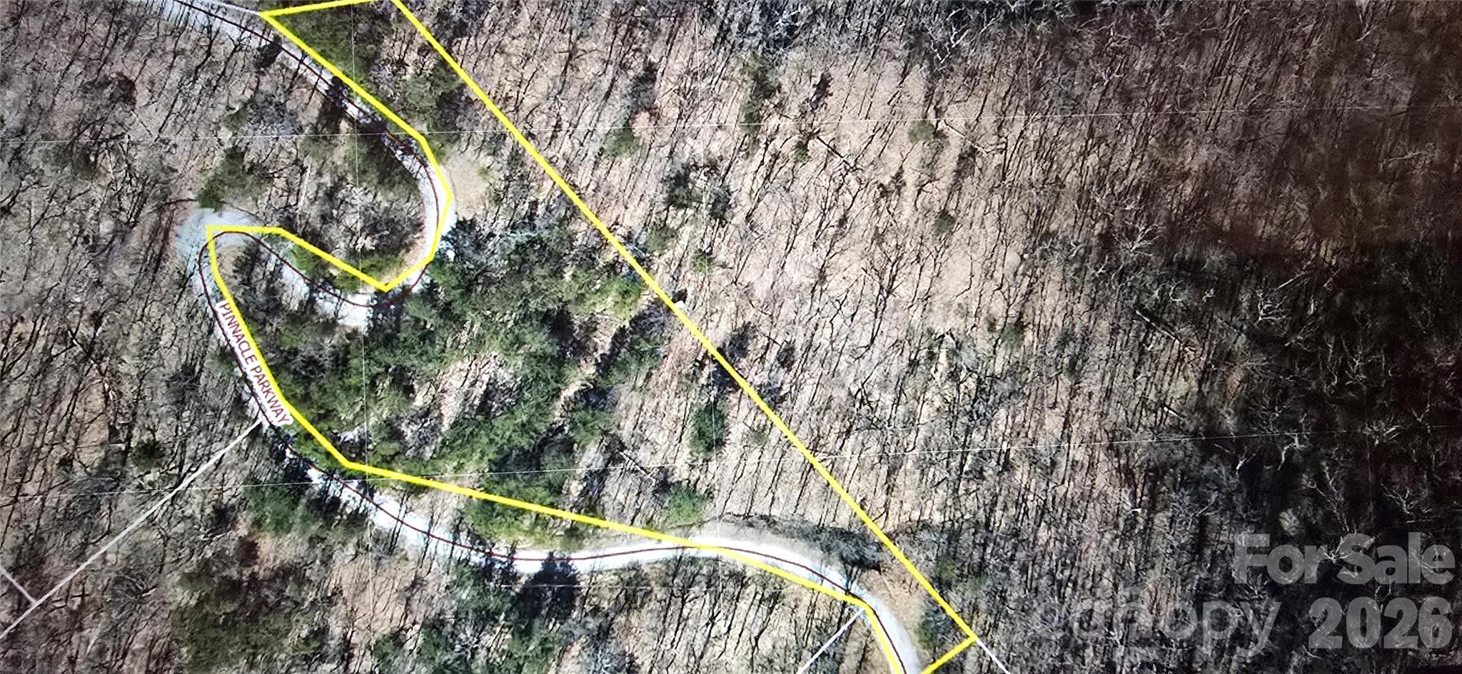 Situated 1/2 mile up the community private road, this land lot offers approximately 1,100 feet of road frontage. Elevated perfectly to provide for endless views in every direction. There is a driveway cut in with an existing well! (You won't find a lot with all that this offers with a well for this price.) This land lot backs to a 221 acre land conservancy that provides for added privacy, and makes you feel like you have truly gotten away from it all. With only a minimum 1,000 square foot to build requirement, this property will make for the perfect part-time escape or full-time residence that you have dreamed of building. 
Pinnacle Parkway is a PRIVATE ROAD ~ Showings to be ACCOMPANIED BY REALTOR.