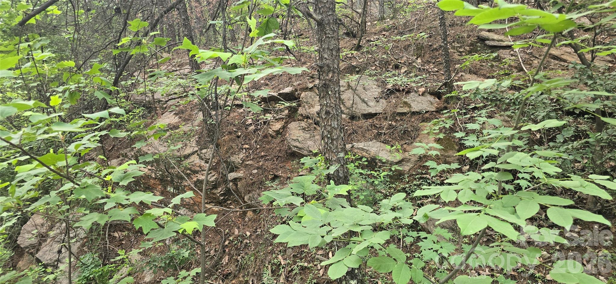 Pinnacle Ridge - Land