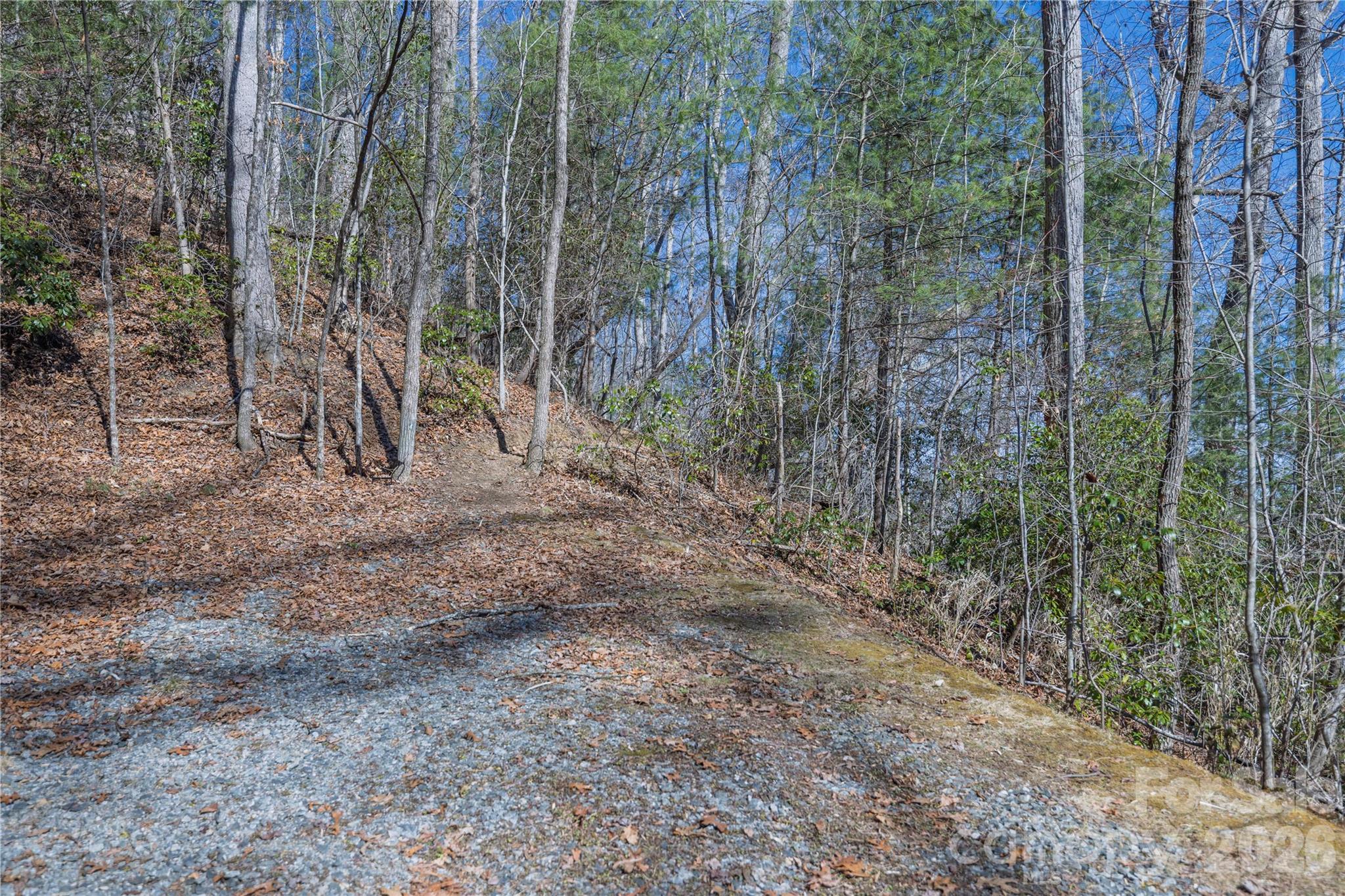 Mountain Brook - Land