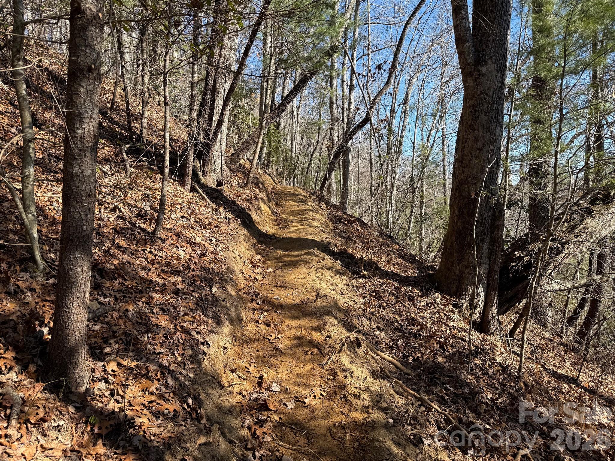 Mountain Brook - Land