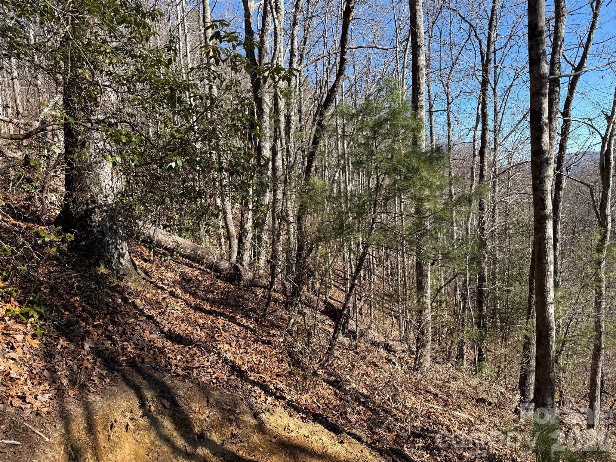 Mountain Brook - Land