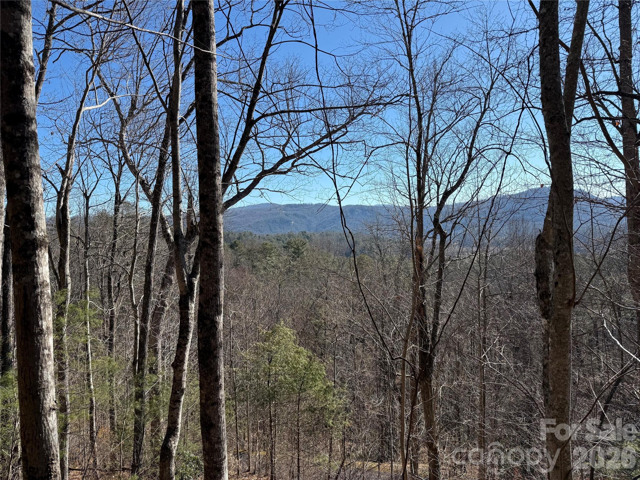 Mountain Brook - Land