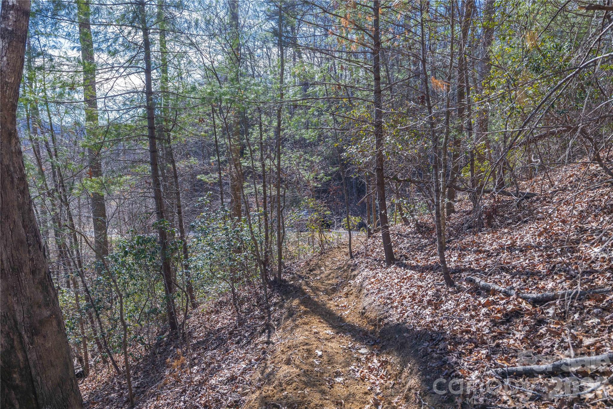 Mountain Brook - Land