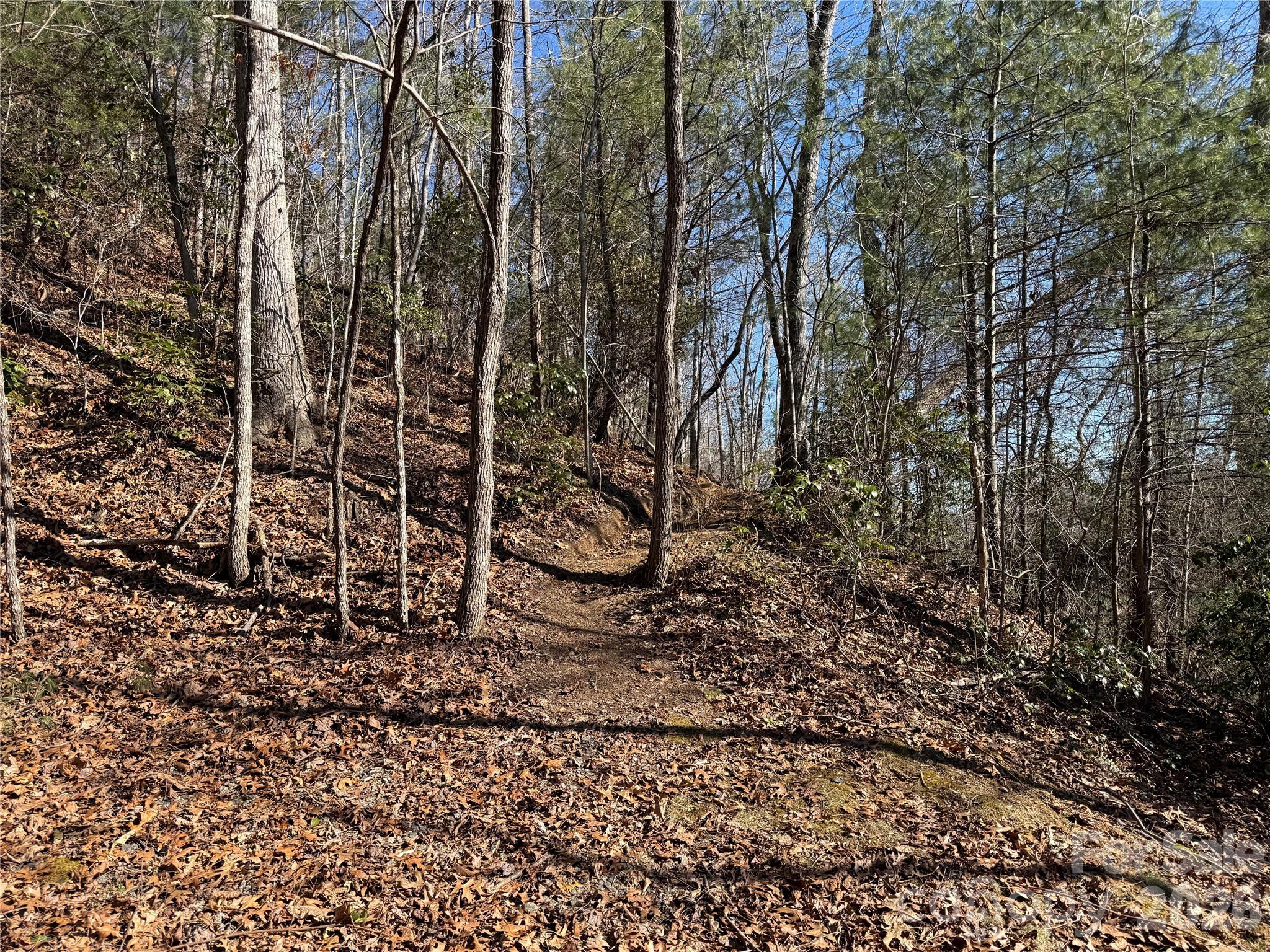 Mountain Brook - Land